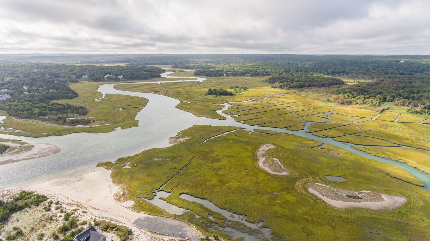 Aerial panoramic view of winding river through green coastal marshlands and wetlands during summer season.