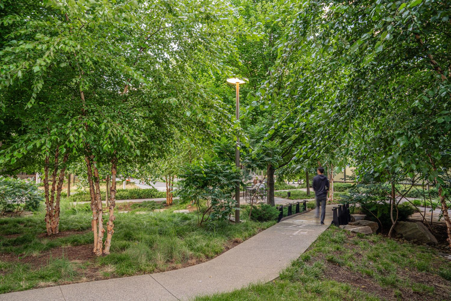 A curved walking path meanders through a shaded urban park with mature trees and landscaping.