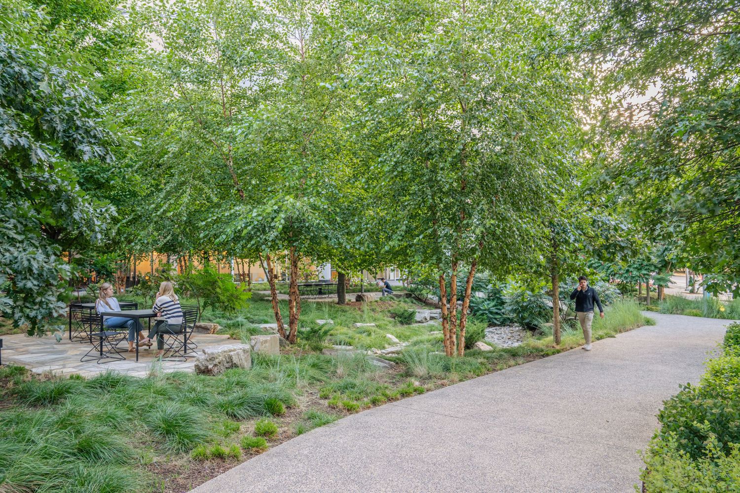 Winding pathway through an urban park with benches and natural landscaping.