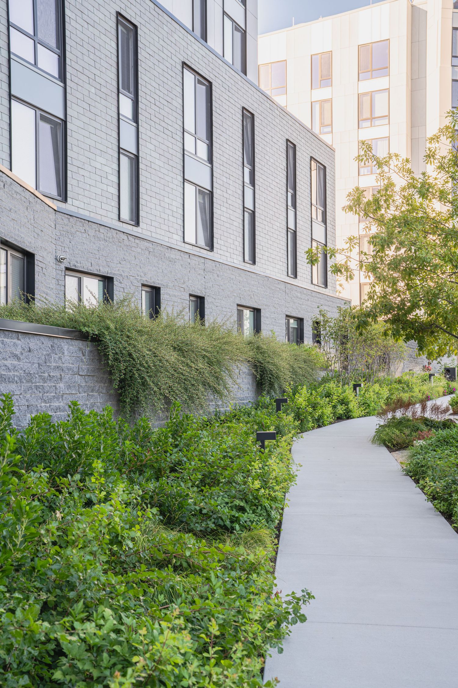 Curved concrete pathway alongside modern grey building with landscaped garden border.