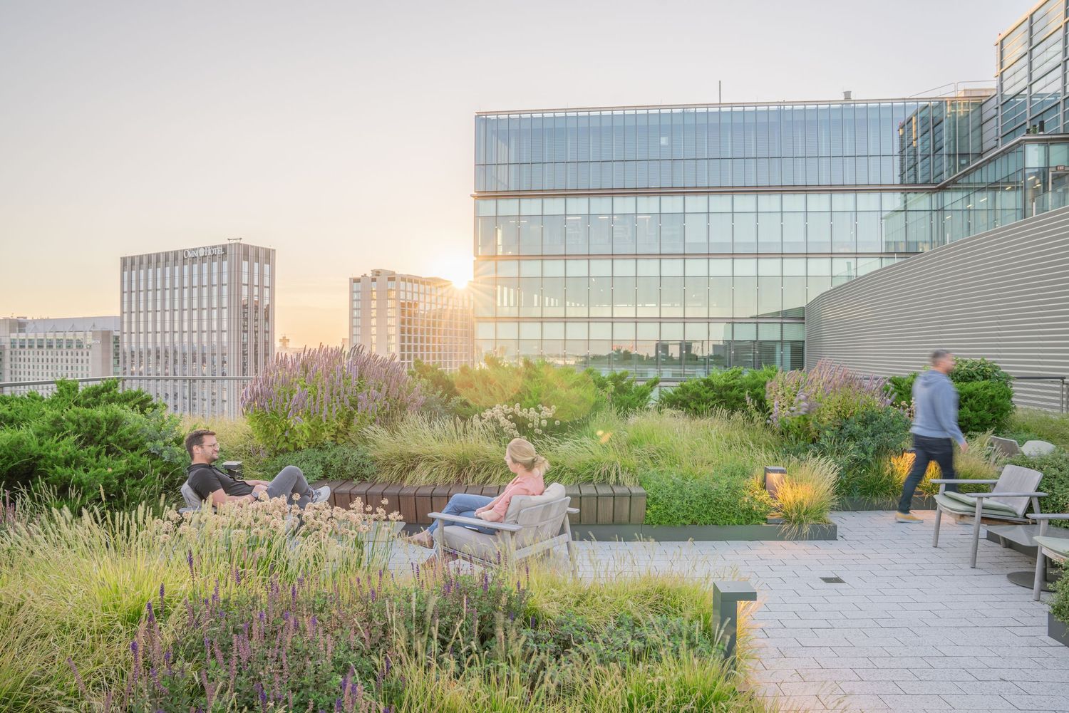 Modern glass office buildings and rooftop garden space with city views.