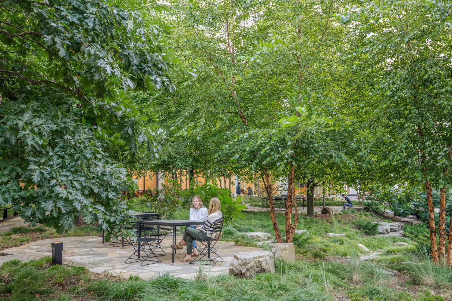 Peaceful urban park setting with benches and seating areas surrounded by leafy green trees.