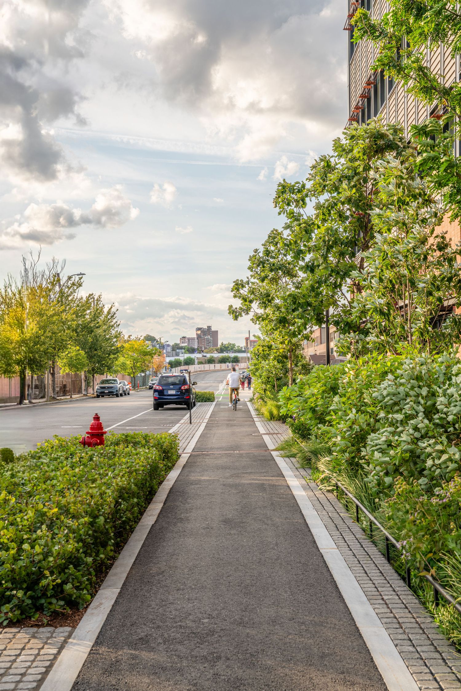 Landscaped urban pathway with trees and shrubs bordering a paved walkway.