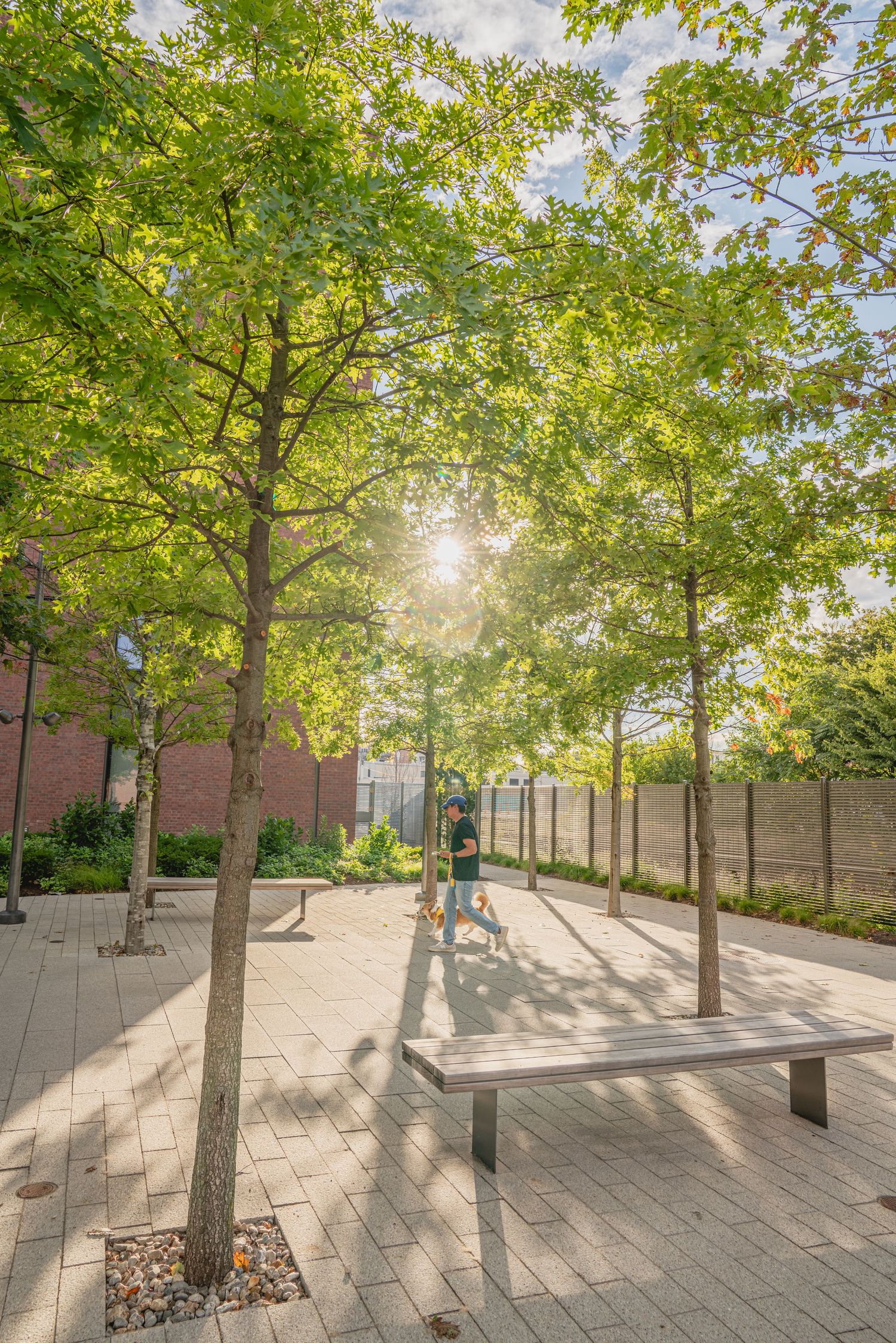 Sun-dappled courtyard features rows of trees and patterned stone pavement beside brick architecture.