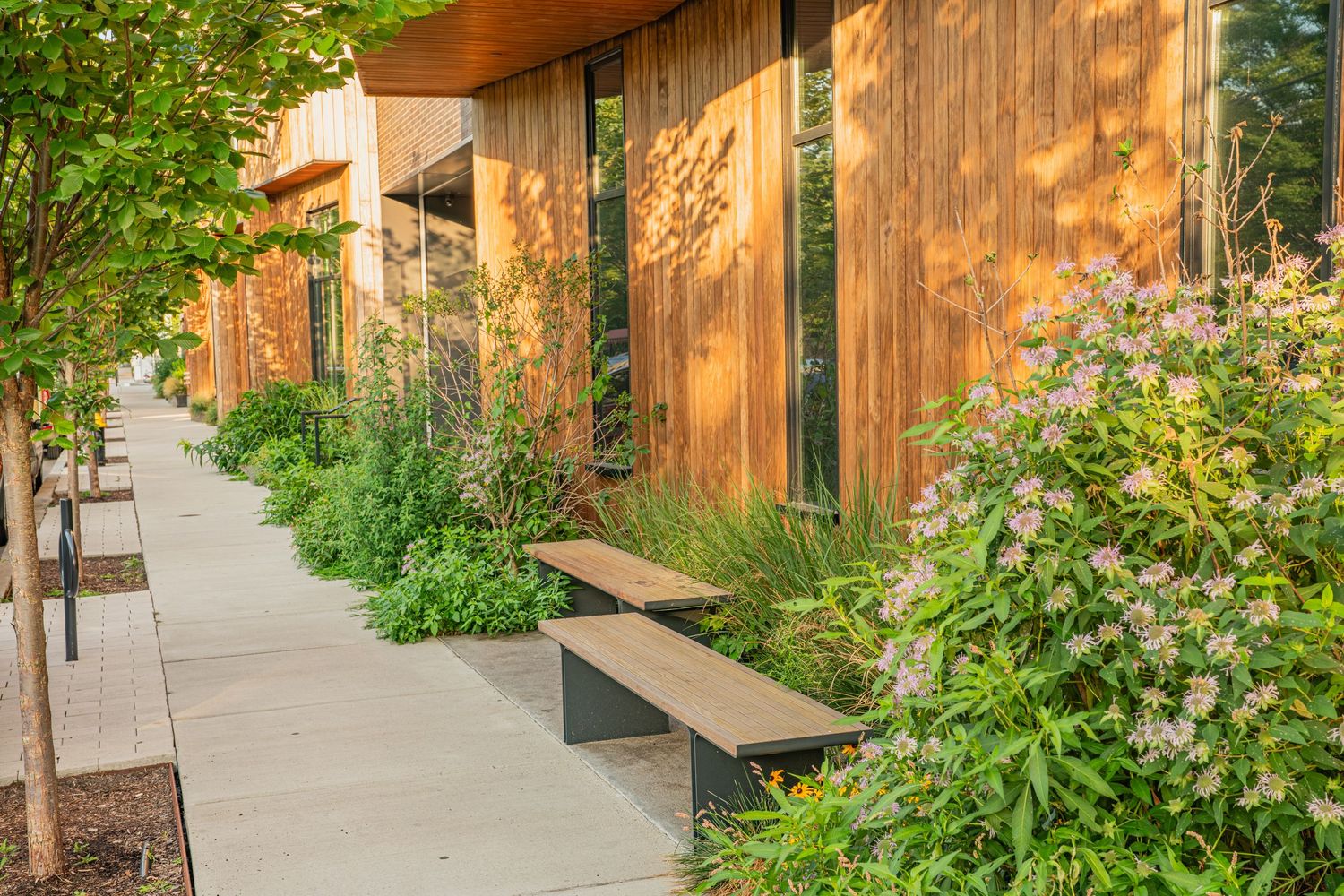 Modern apartment building entrance with brick facade and lush landscaping along concrete walkway.