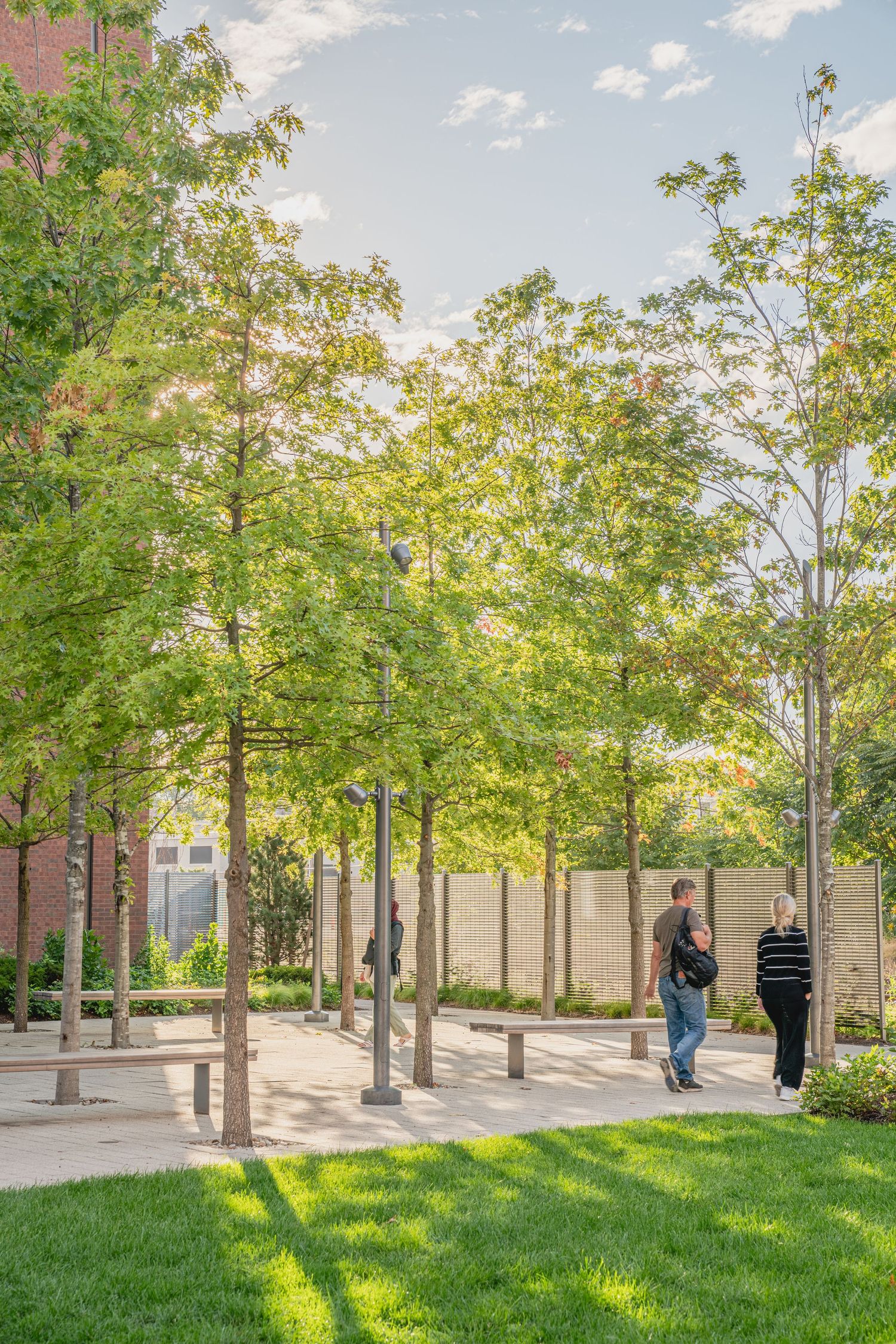 Tree-lined plaza with paved walkways and green spaces between institutional buildings.
