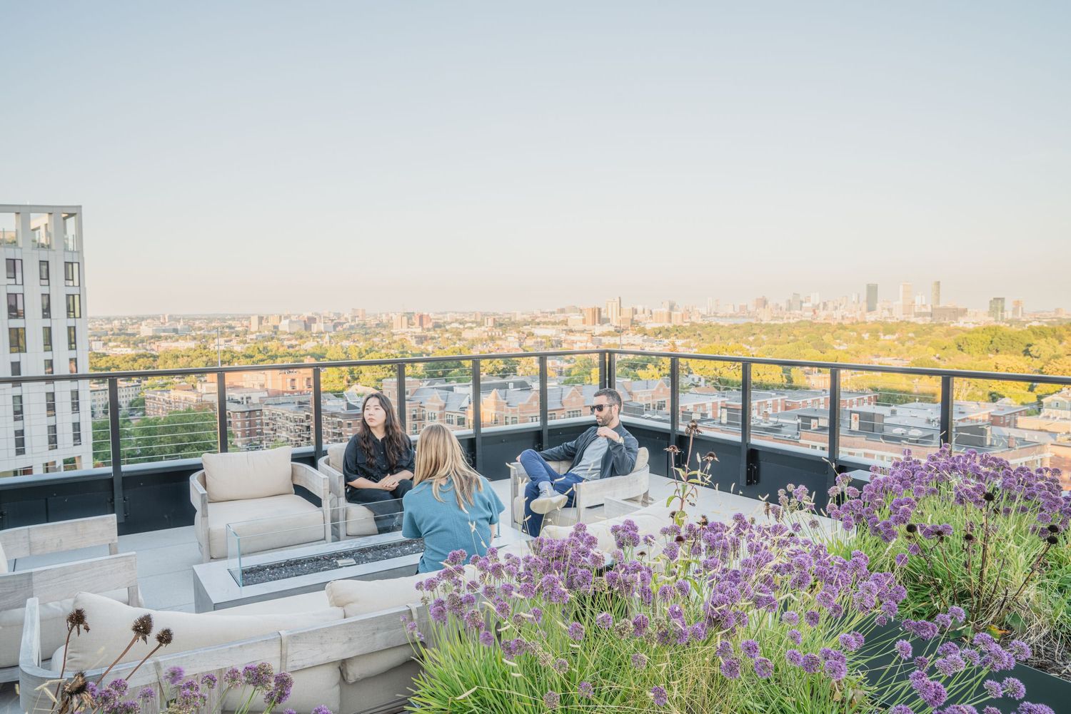 Panoramic rooftop terrace with city skyline views and decorative purple flowering plants.