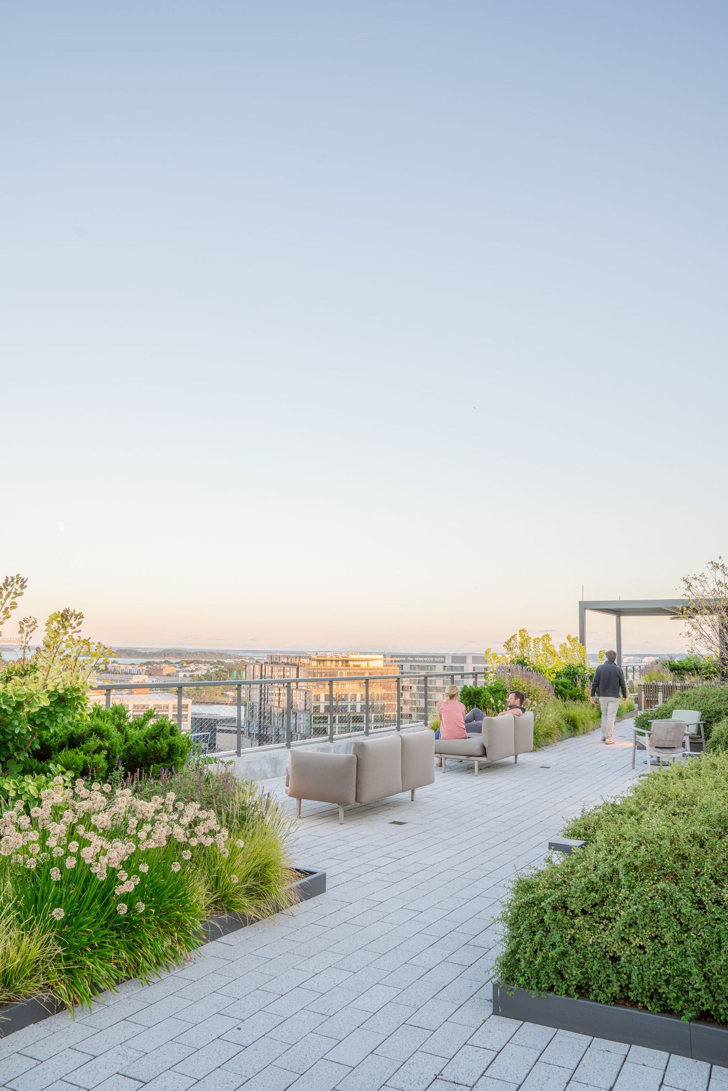 Elevated urban garden space with paved pathways and mixed plantings at dusk.