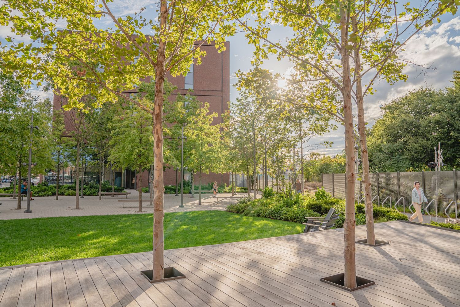 Modern urban park with wooden deck walkway and young trees casting shadows on a sunny day captured with professional landscape photography