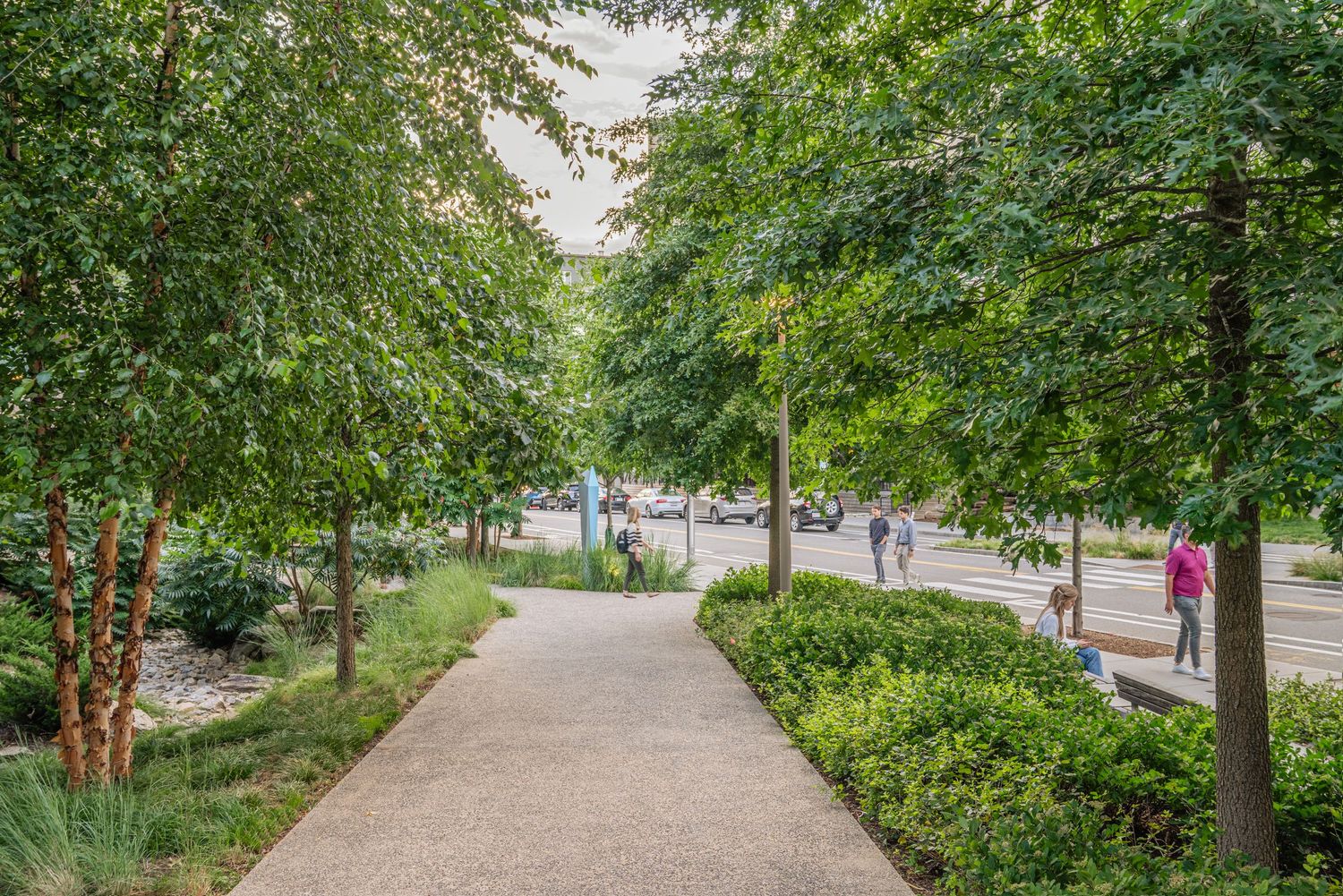 Tree-lined concrete pathway through a landscaped urban park on a sunny day.