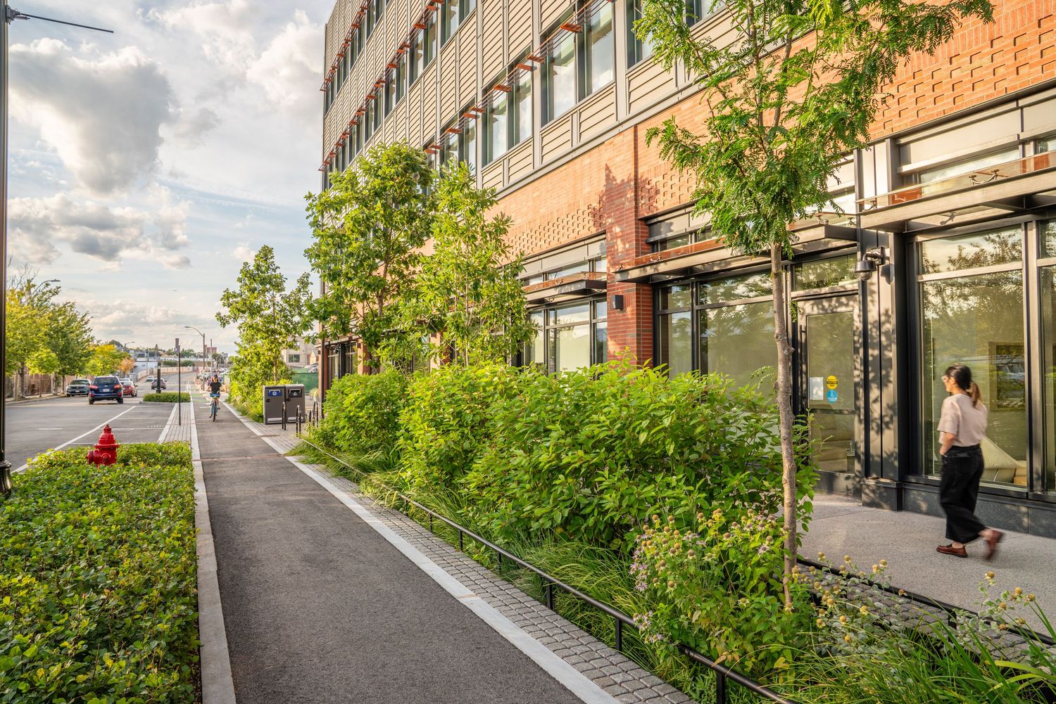 Modern urban streetscape with landscaped borders and commercial buildings in background.