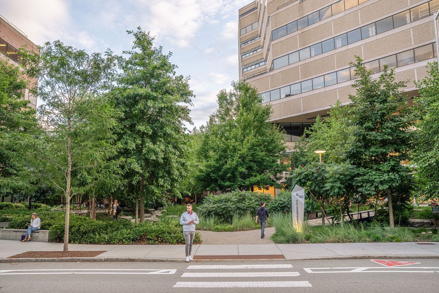 Tree-lined pedestrian crossing in front of modern office buildings in an urban setting.
