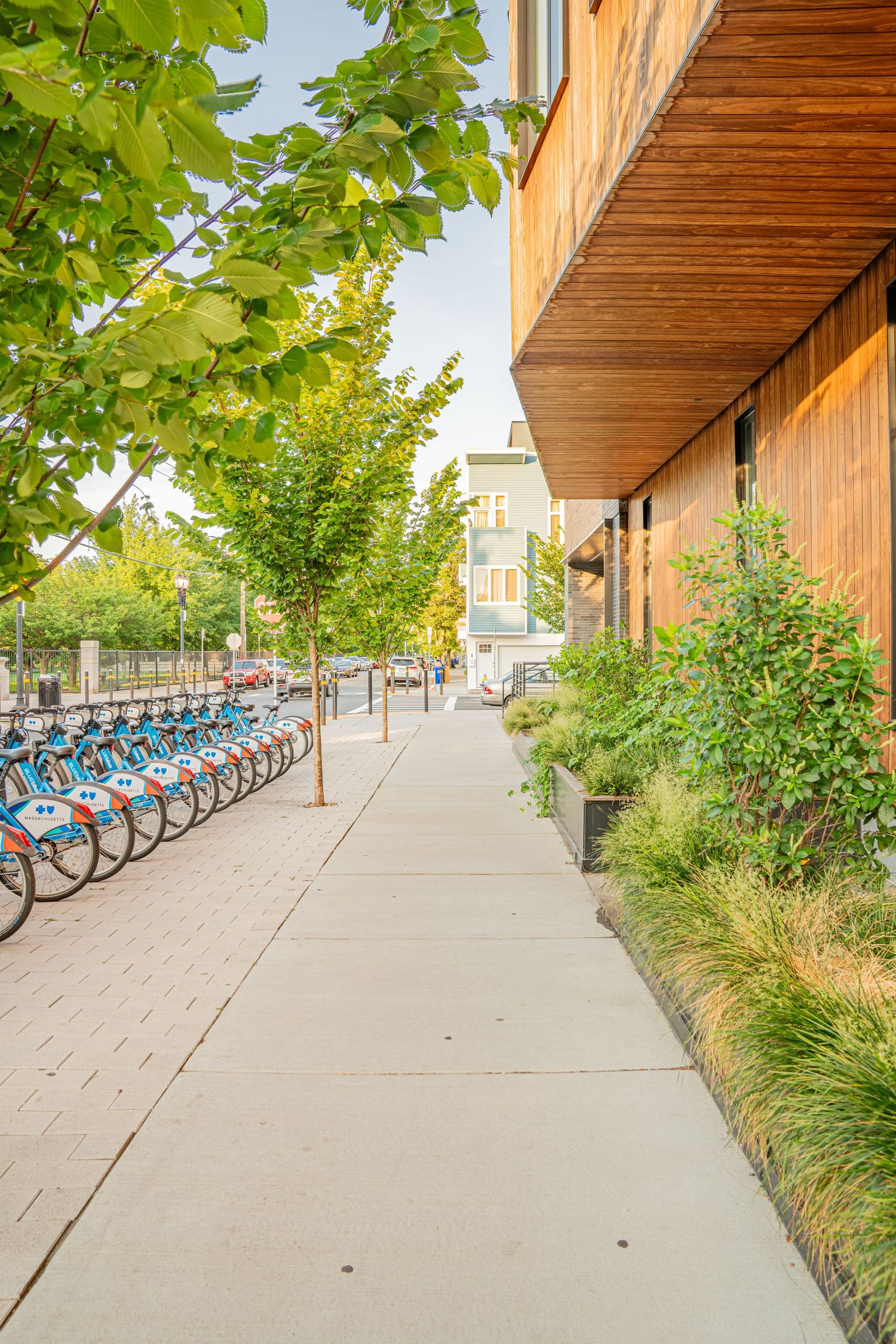 Tree-lined walkway with bike share station and wood-paneled building overhang.