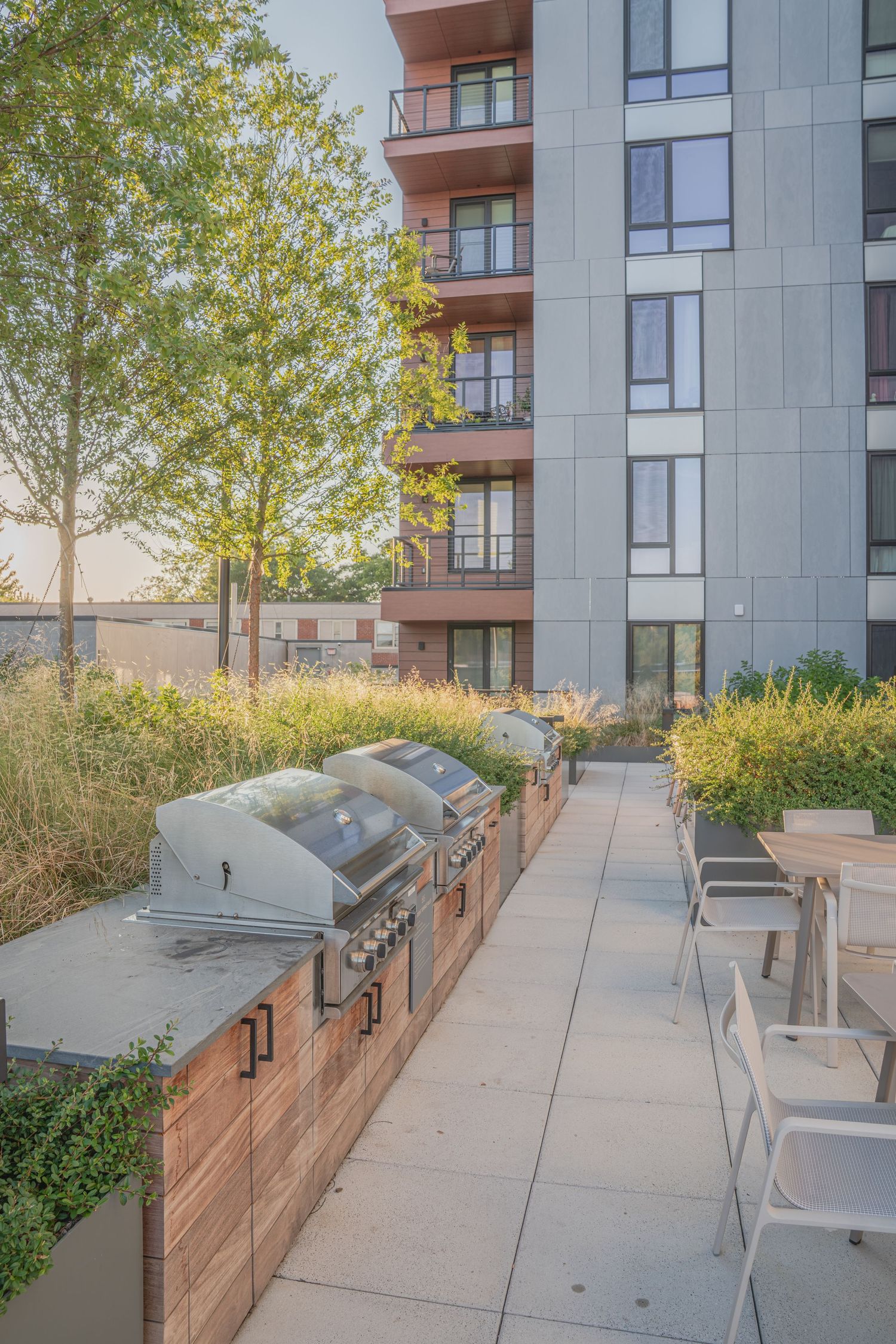 Row of outdoor grilling stations with wooden privacy screens on apartment building terrace.