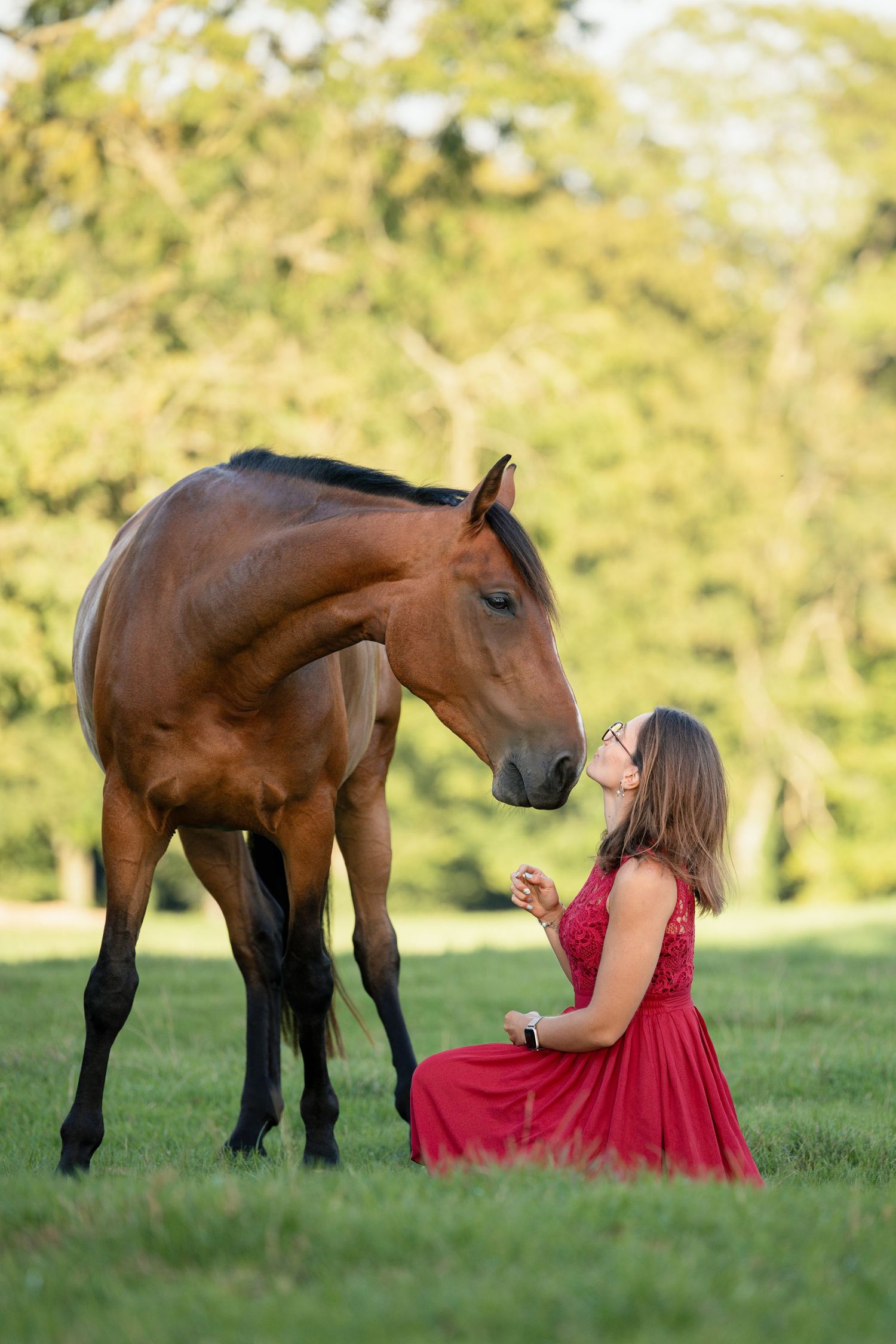 Shooting photo cheval Normandie - Photographe cheval Rouen - Shooting cheval Rouen - Photographe équestre Normandie