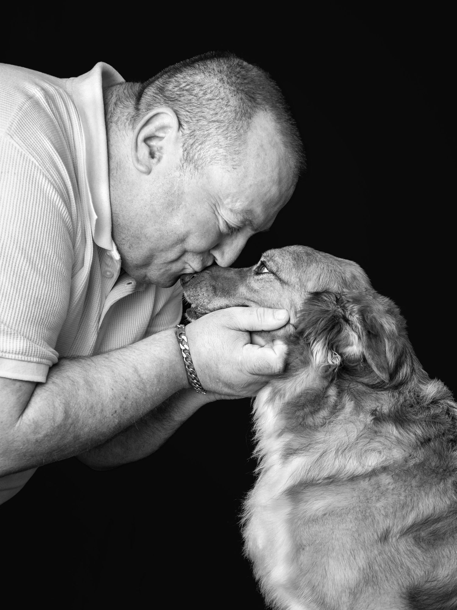 Photographe chien Normandie - Shooting chien Rouen - shooting studio chien Normandie- Photographe chien Rouen