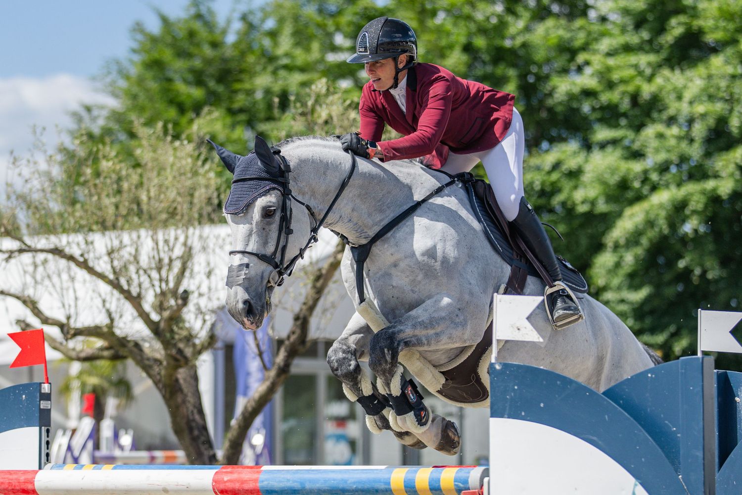 Shooting photo cheval cso - Photographe équestre Rouen Normandie