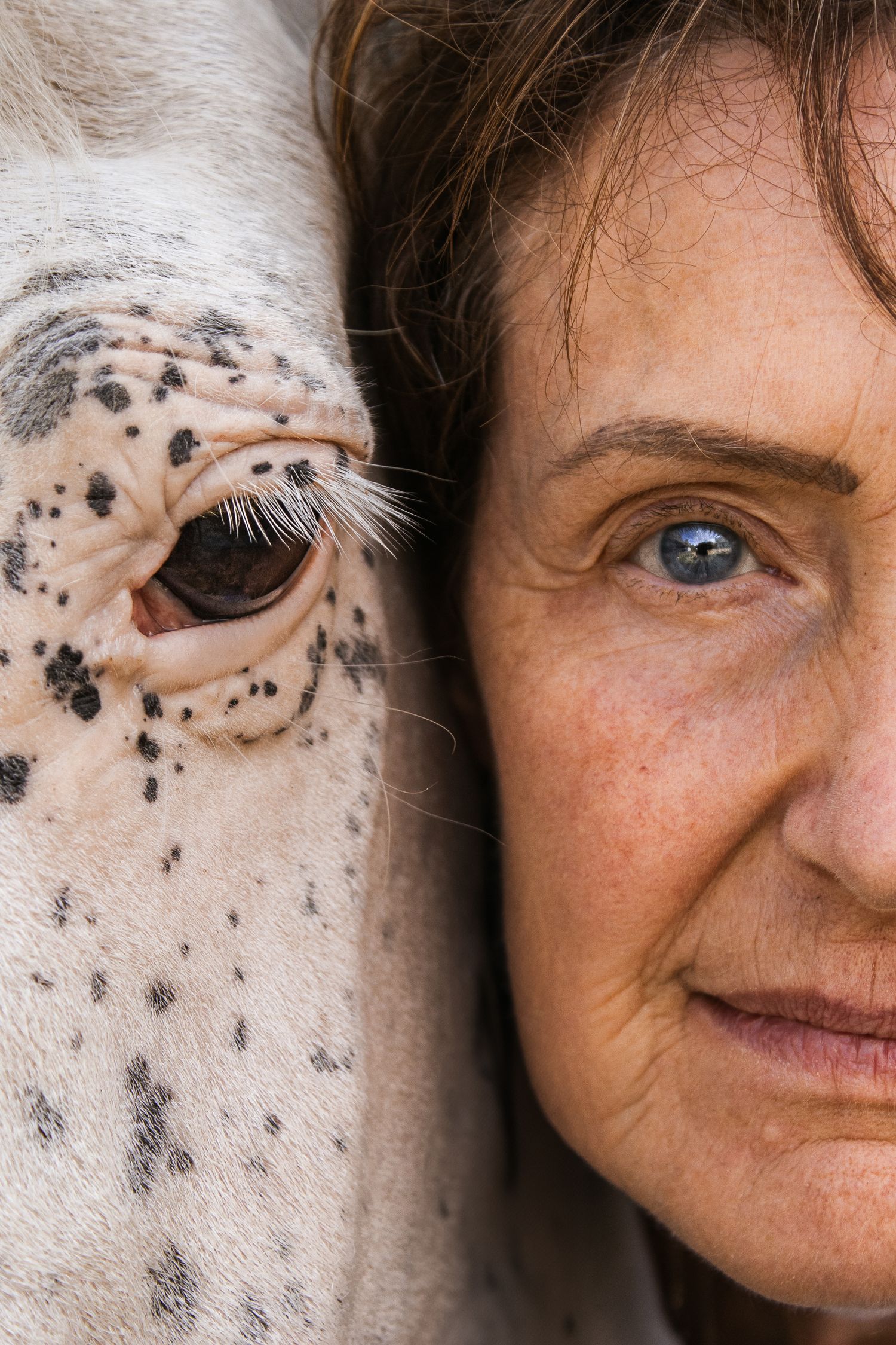 Cavalier et cheval portrait œil contre œil - Photographe équestre Rouen Normandie
