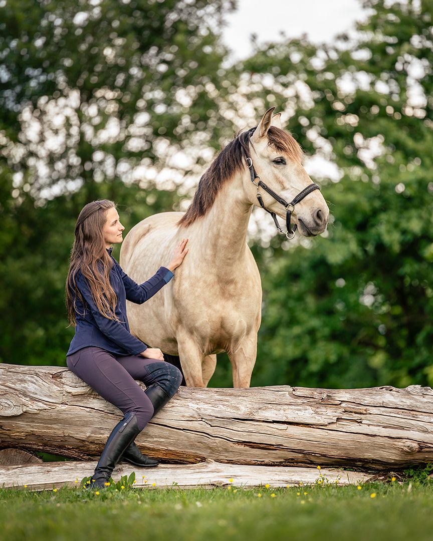 shooting photo cheval - Photographe équestre Rouen - Photographe équestre Normandie