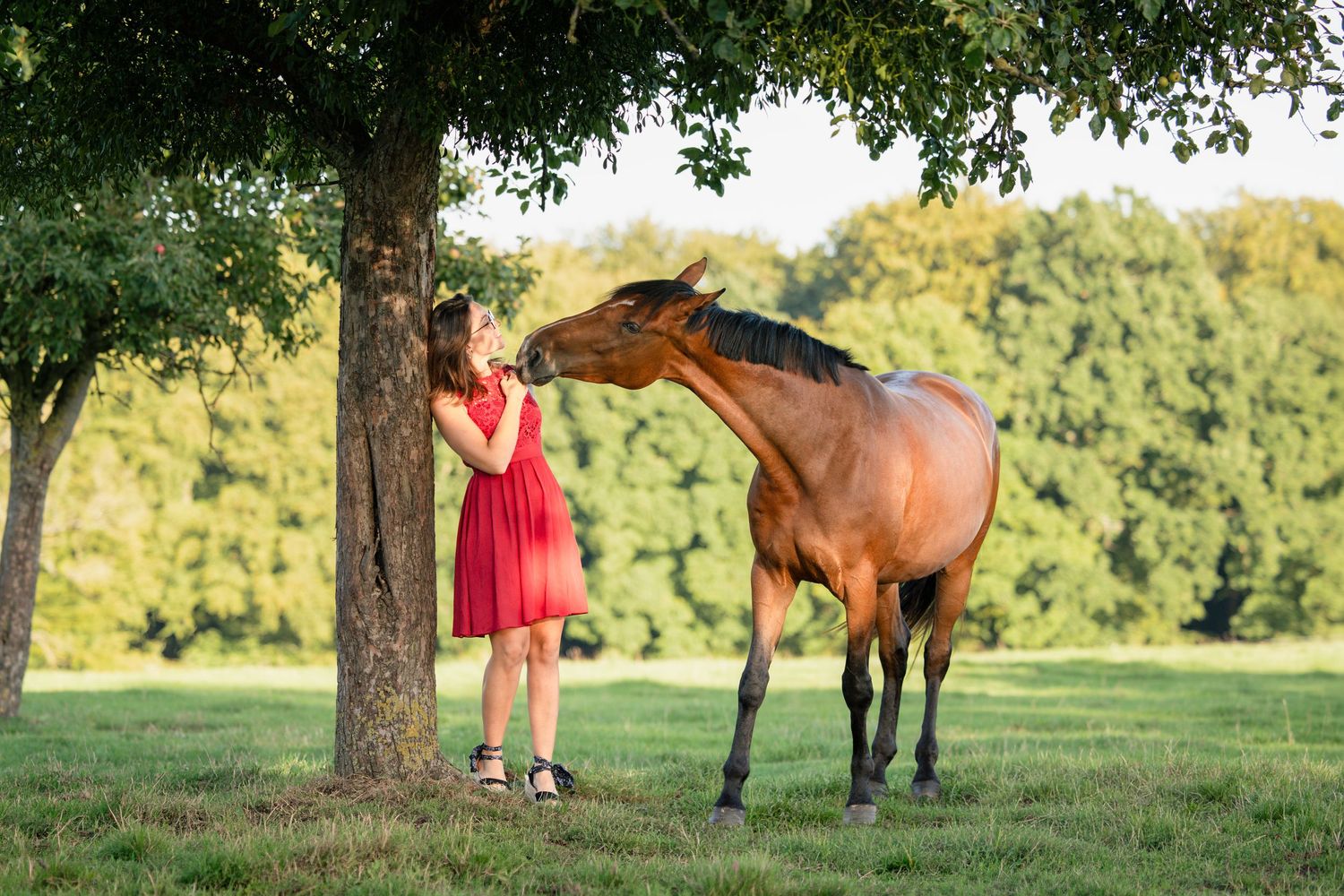 Photographe équestre Normandie - Shooting cheval Rouen - Shooting équestre Normandie - Photographe cheval Seine Maritime