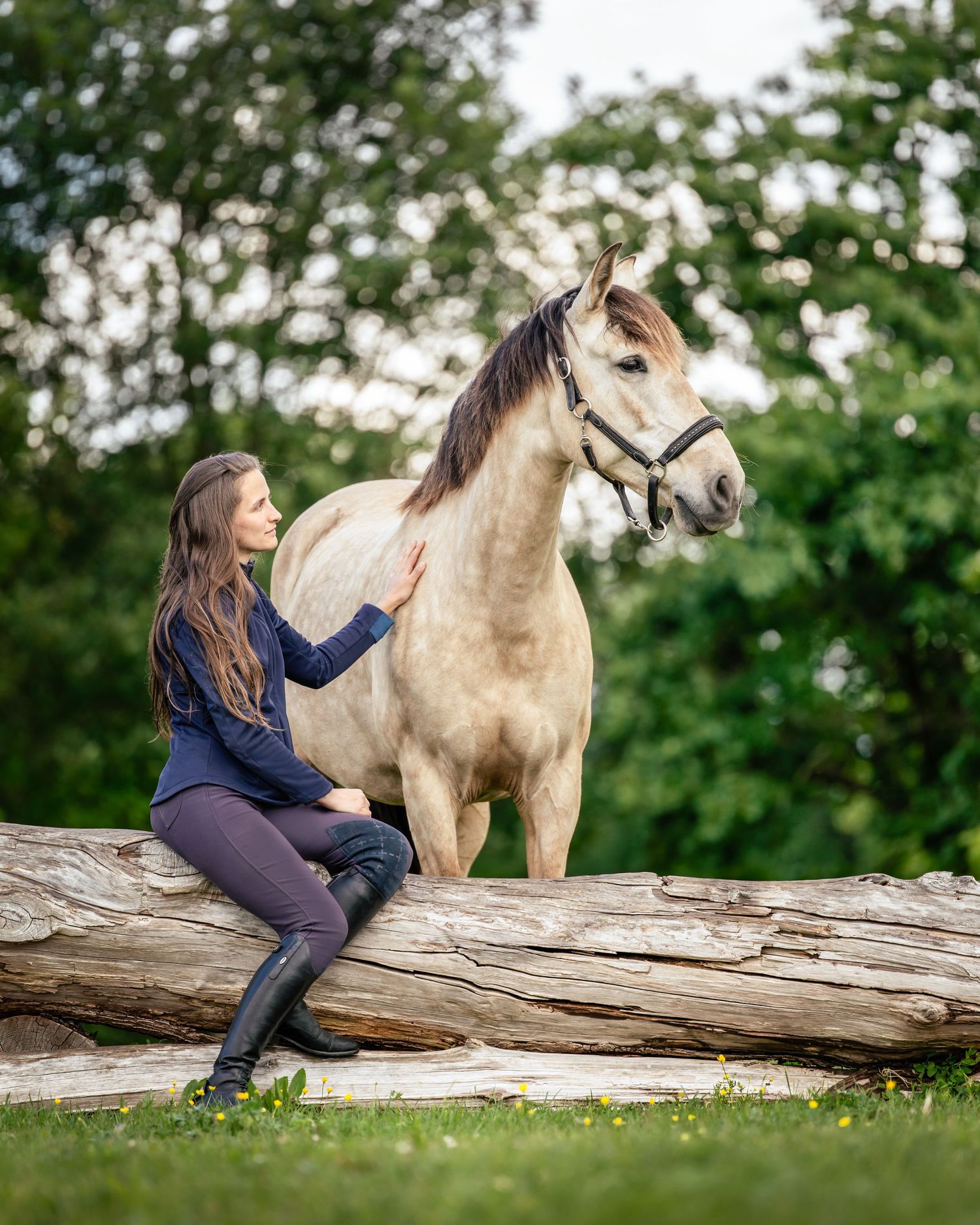 Shooting photo cheval - Photographe équestre Rouen - Photographe équestre Normandie -