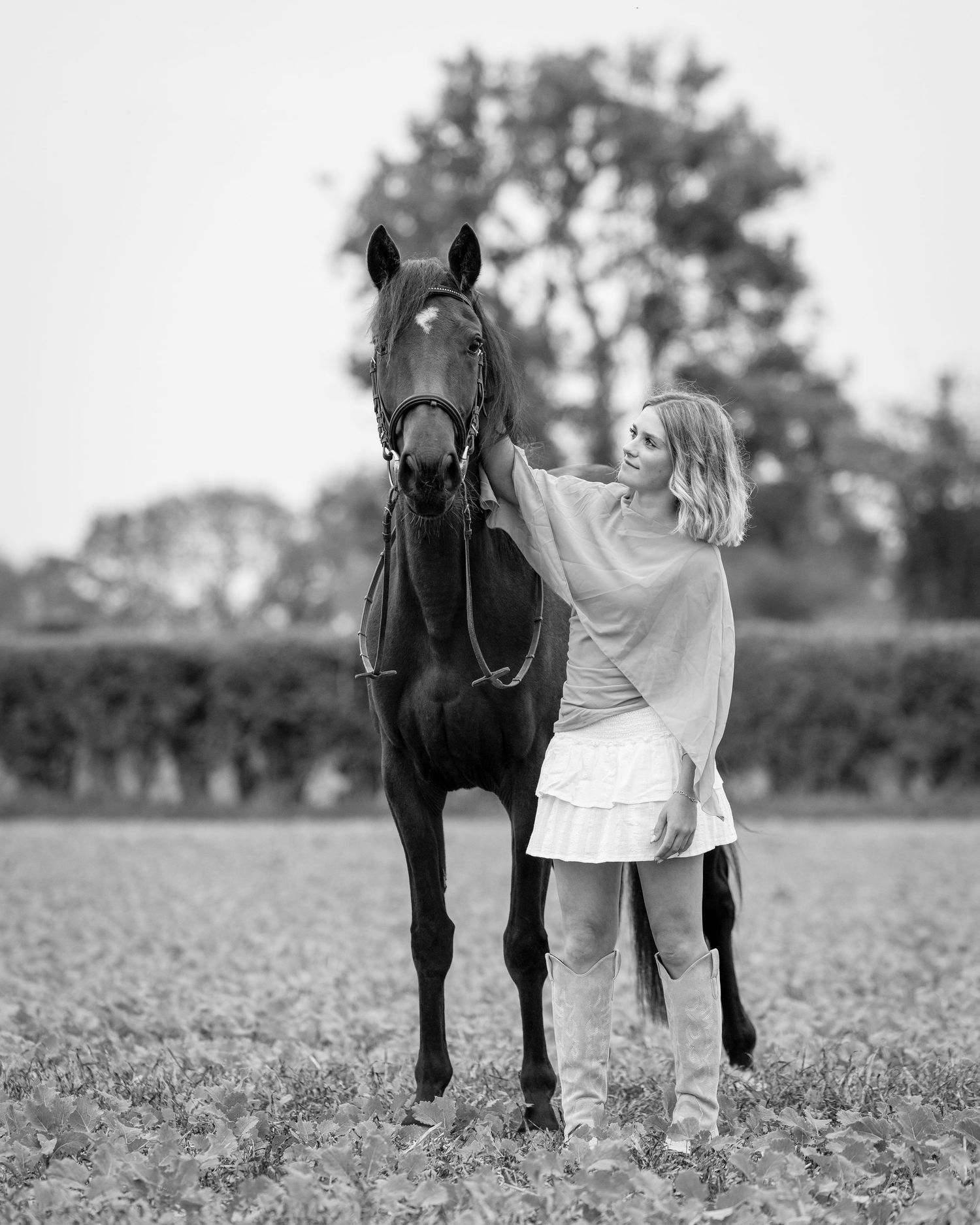 shooting photo cheval - Photographe équestre Rouen - Photographe chevaux Normandie