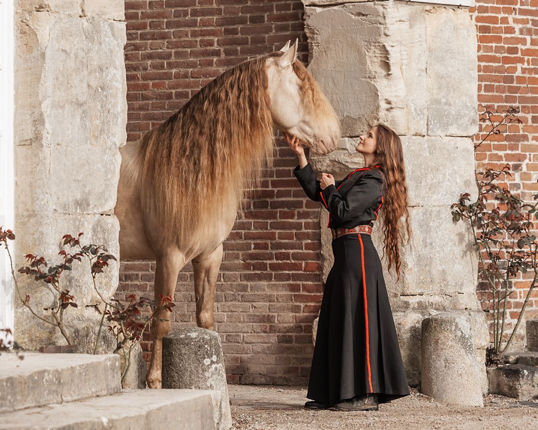 Shooting cheval haras du pin -Photographe équestre Rouen et Normandie
