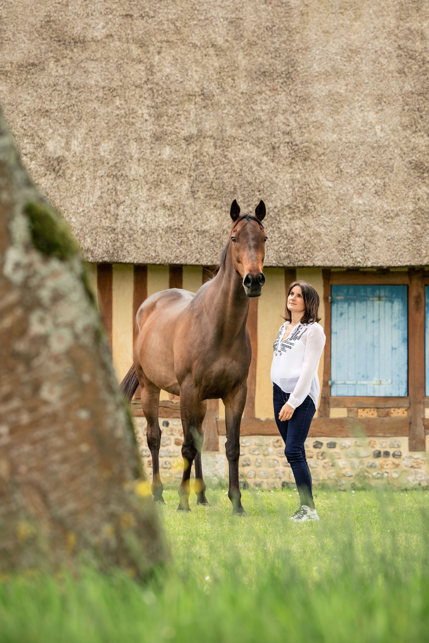 Cavalier et cheval portrait - Photographe équestre  Rouen - Photographe équestre Normandie