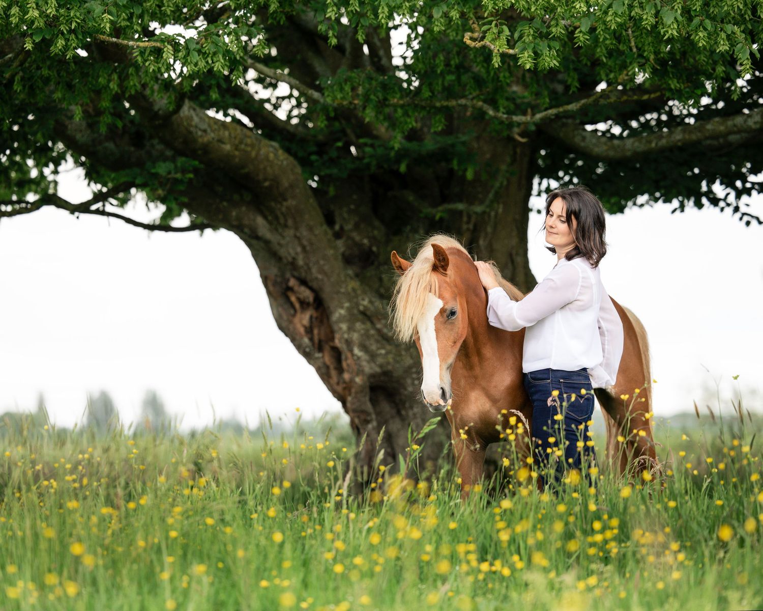 Shooting photo cheval - Photographe équestre Rouen - Photographe équestre Normandie -