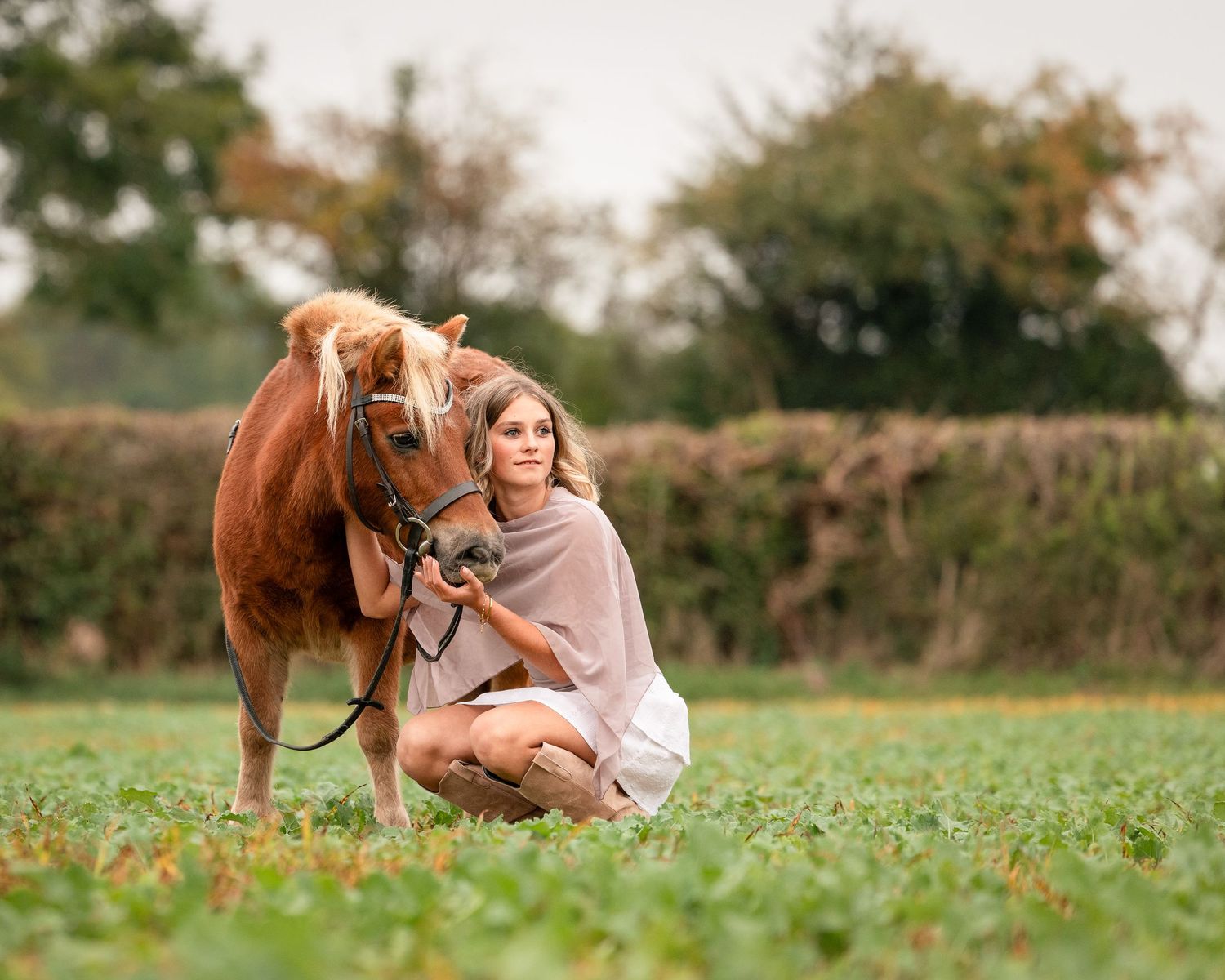 shooting photo cheval - Photographe équestre Rouen - Photographe chevaux Normandie