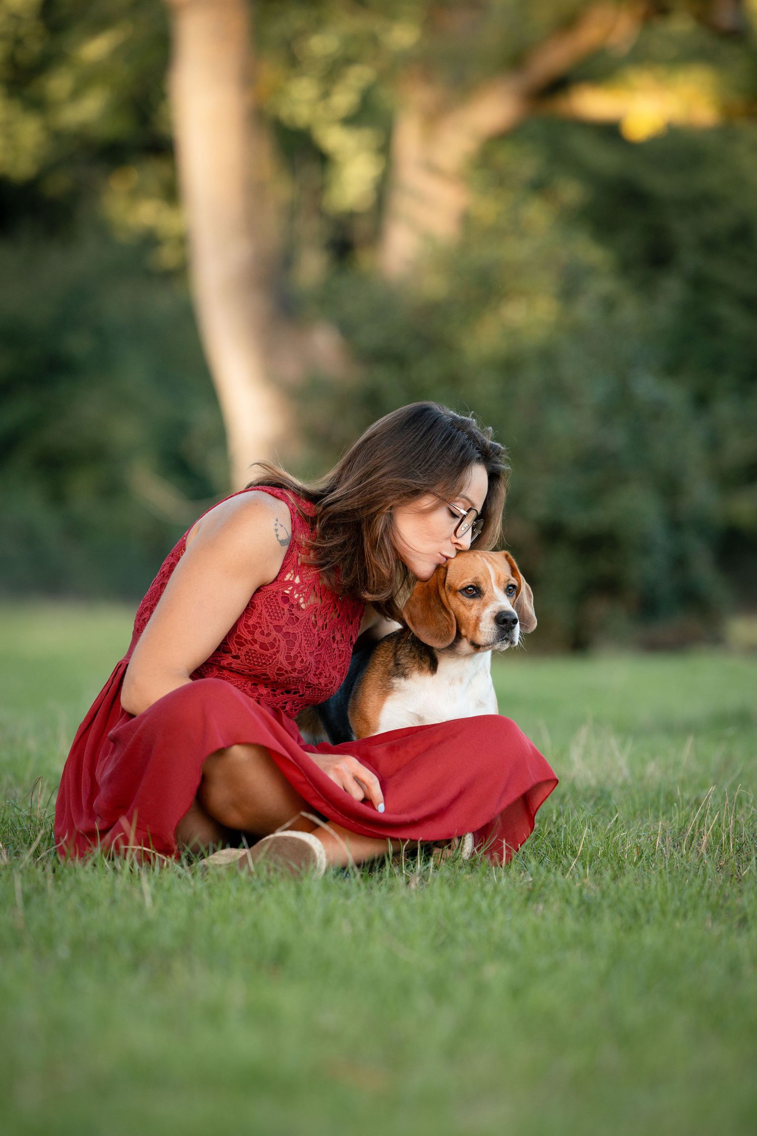 Portrait chien - photographe canin Rouen - Photographe équestre Normandie