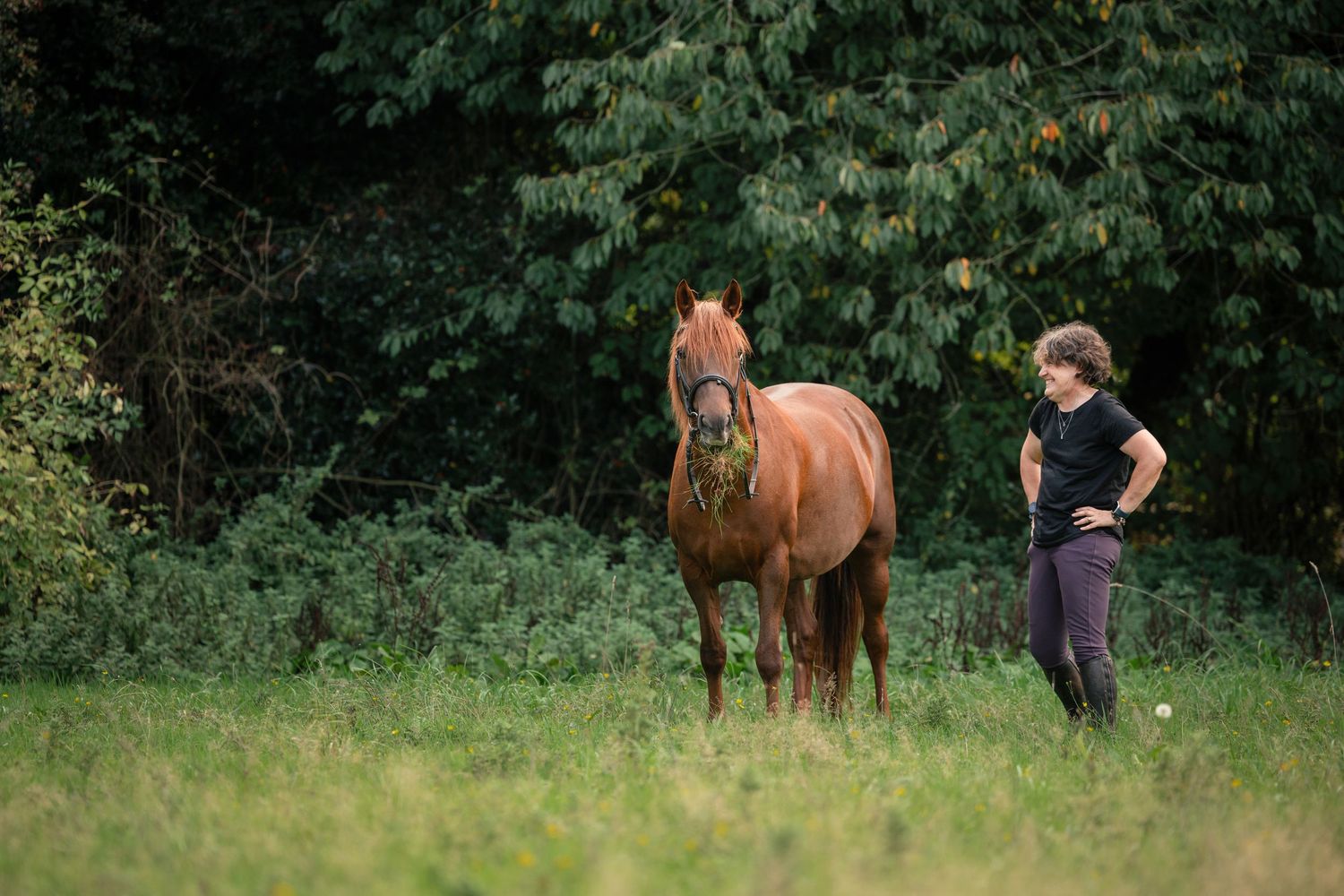 Shooting photo cheval - Photographe équestre Rouen - Photographe équestre Normandie -