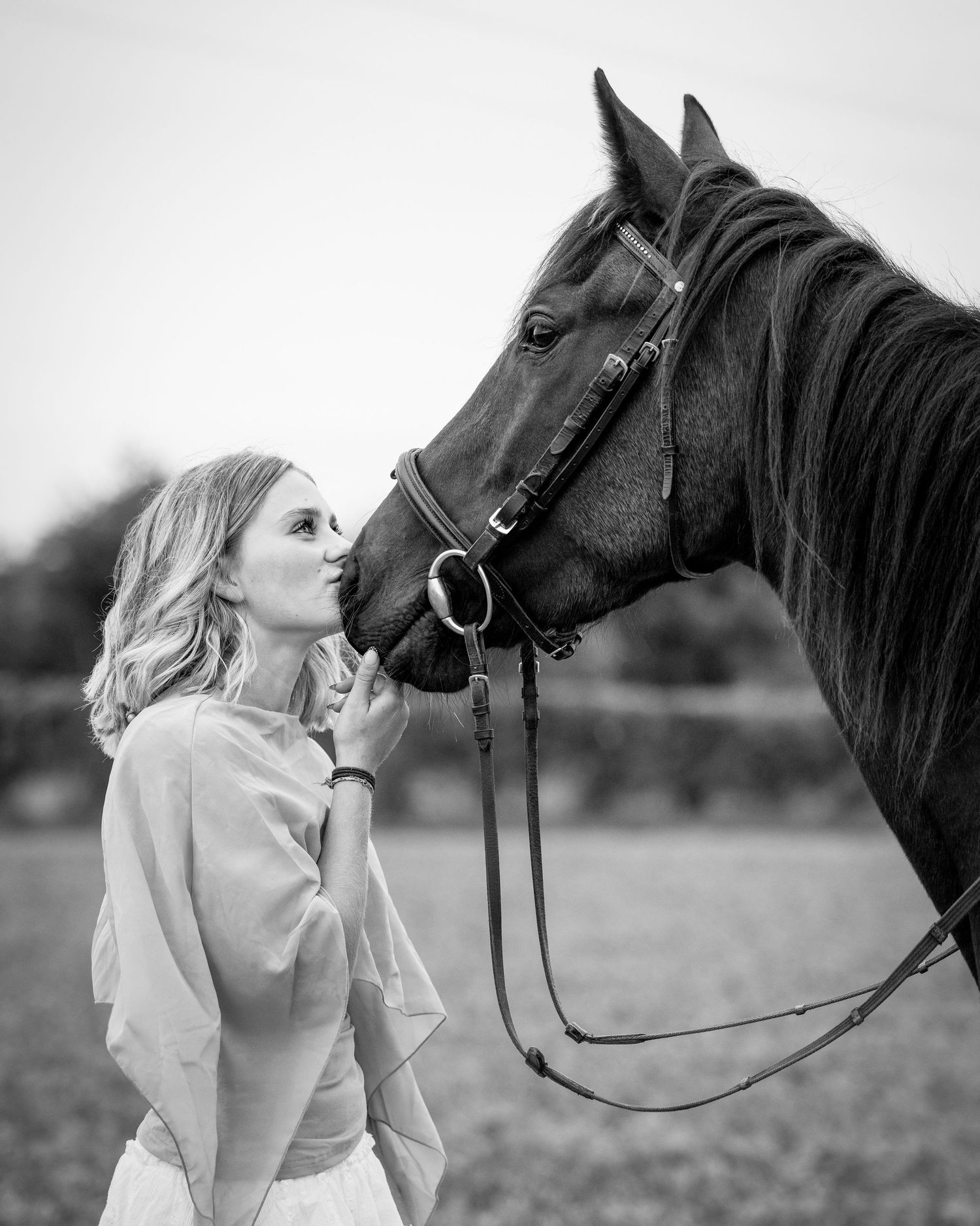 shooting photo cheval - Photographe équestre Rouen - Photographe chevaux Normandie