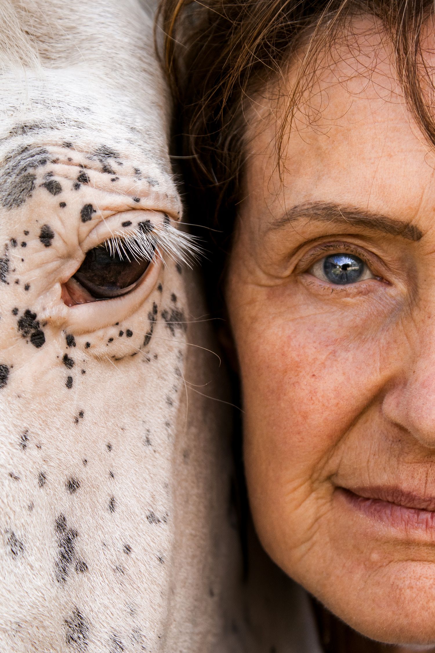 Cavalier et cheval portrait - Photographe équestre Rouen Normandie