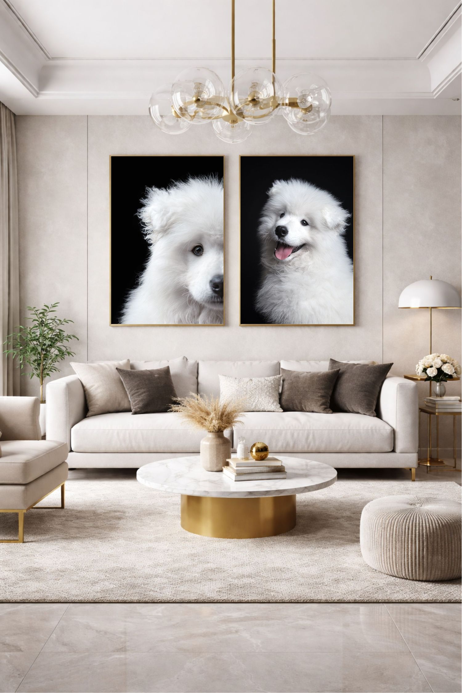 Photographe canin Rouen - Encadrement photo - shooting chien Normandie