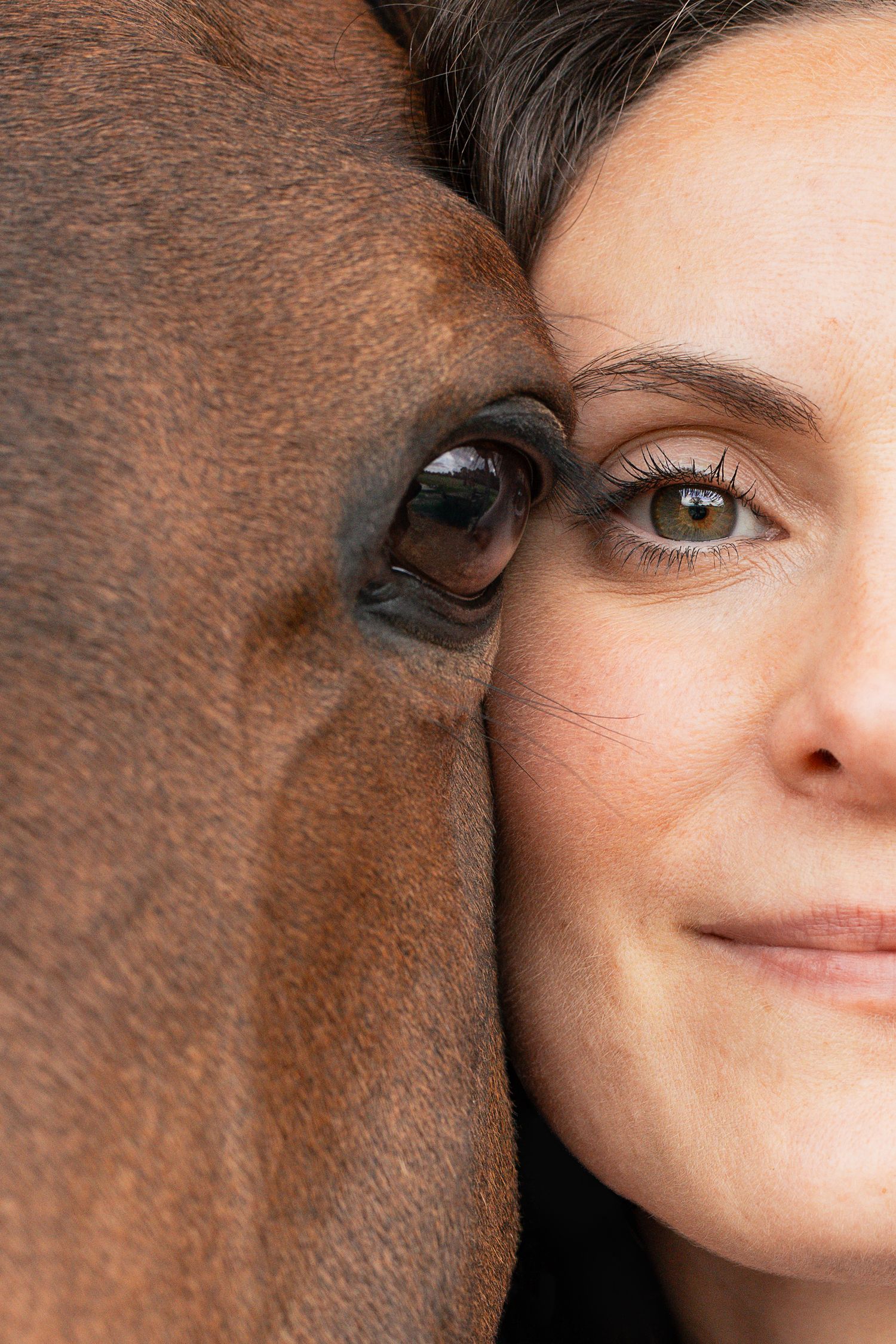 Shooting photo cheval - Photographe équestre Rouen - Photographe équestre Normandie