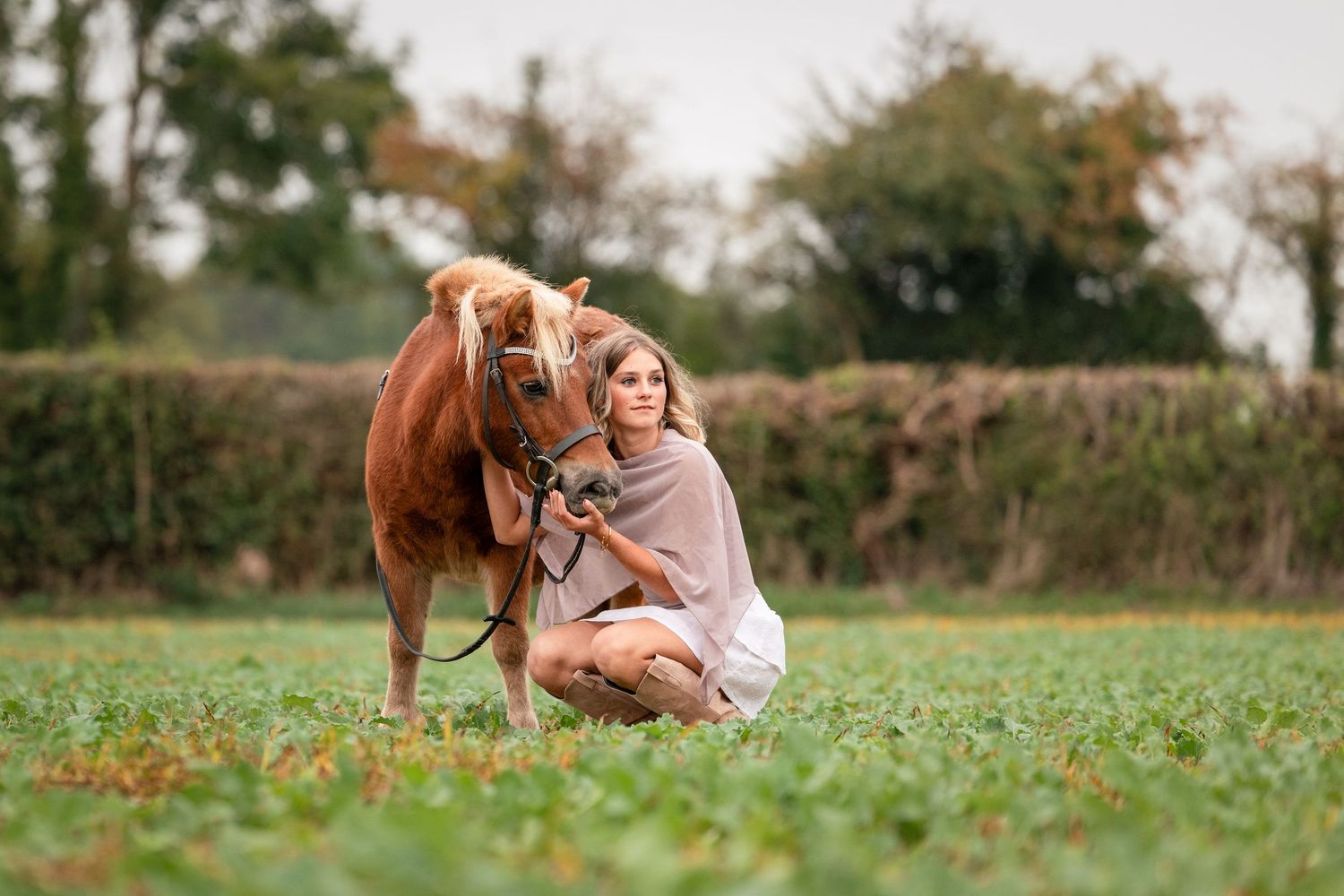 Photographe équestre Normandie - Shooting cheval Rouen - Shooting cheval Normandie - Photographe cheval Seine Maritime