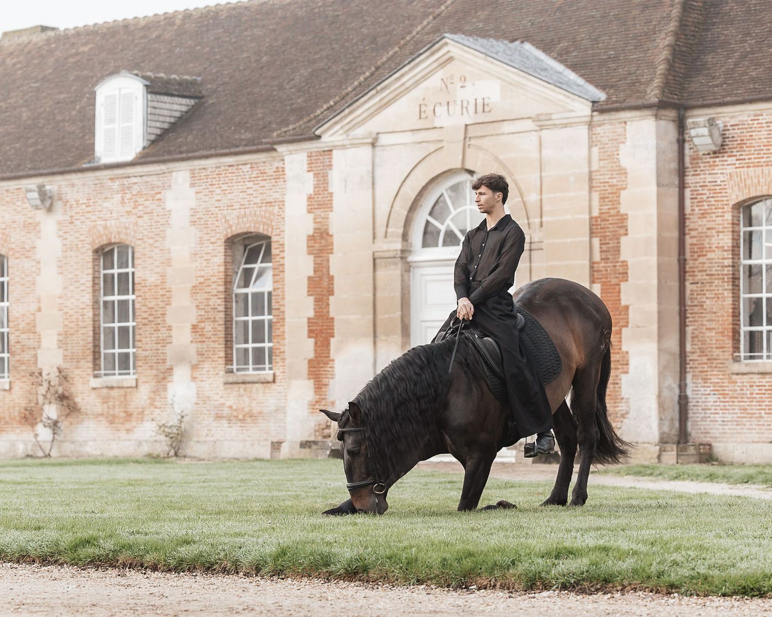 Shooting cheval - Haras du Pin - Photographe équestre Normandie