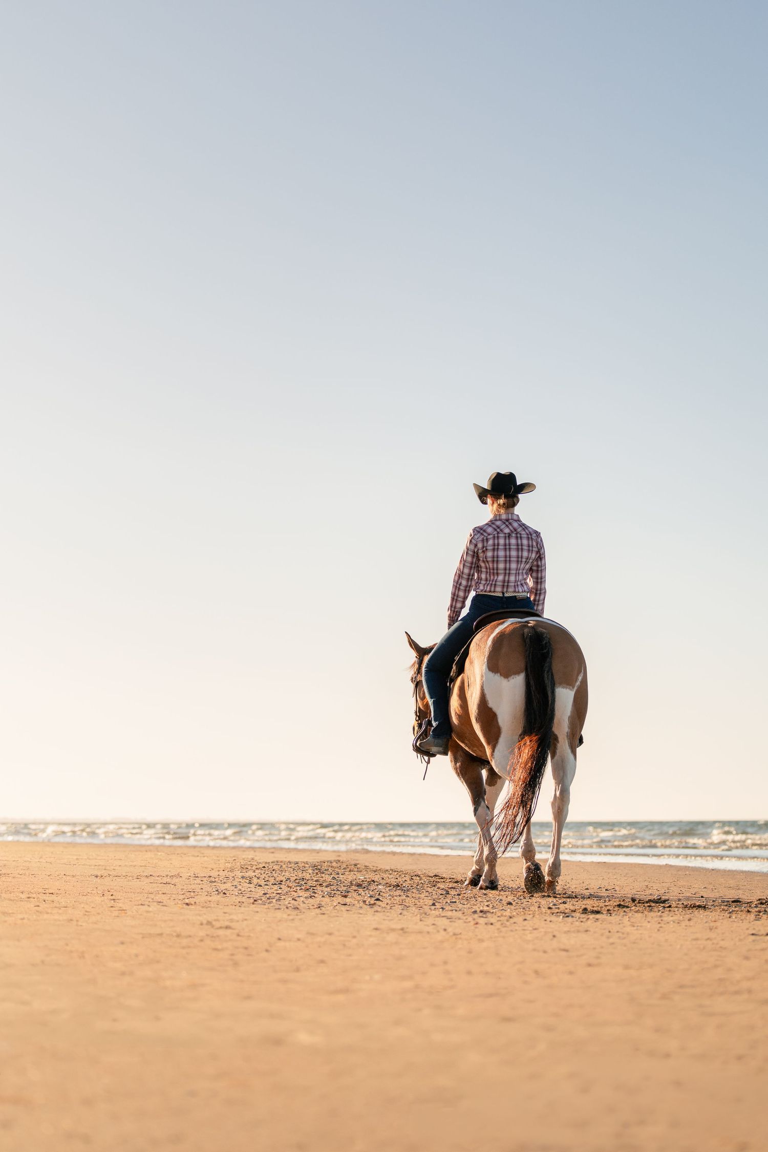 Shooting photo cheval plage - Photographe équestre Deauville - Shooting cheval Deauville - Shooting cheval plage Normandie - Cheval Plage