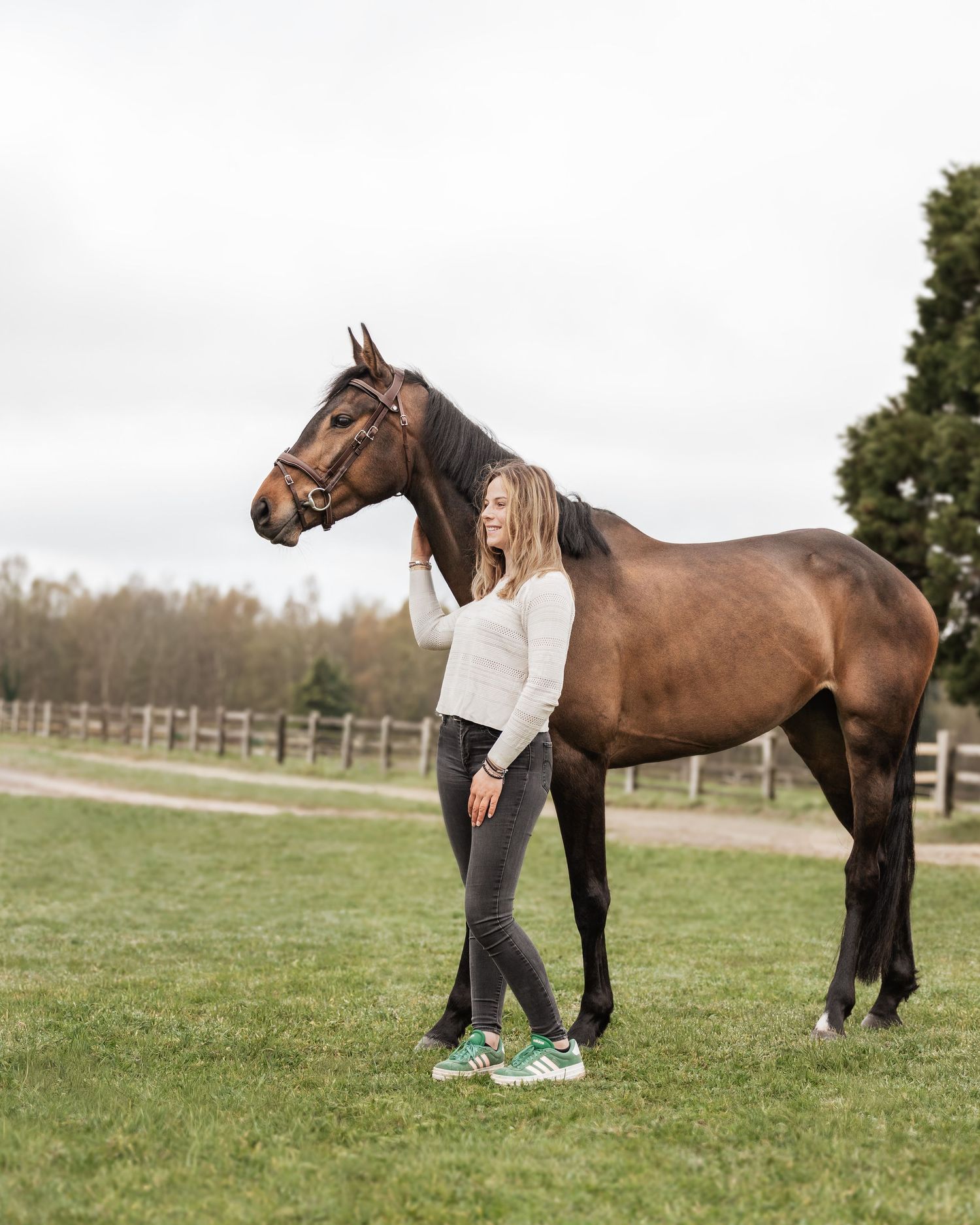 Cavalier et cheval portrait - Photographe équestre  Rouen - Photographe équestre Normandie