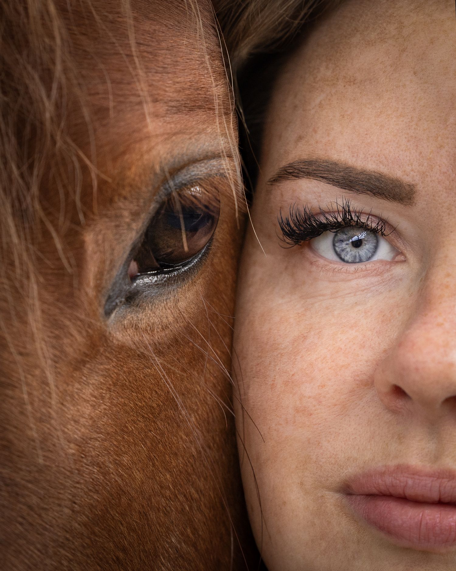 Cavalier et cheval portrait - Photographe équestre Rouen Normandie