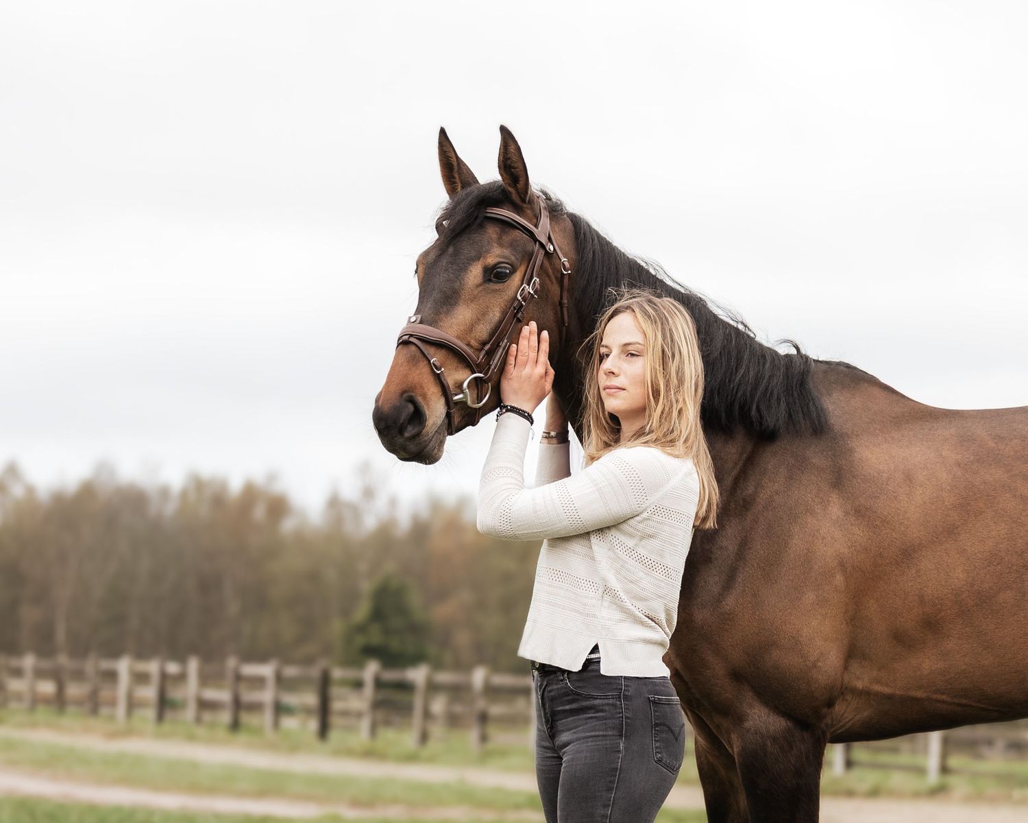 shooting photo cheval - Photographe équestre Rouen Normandie