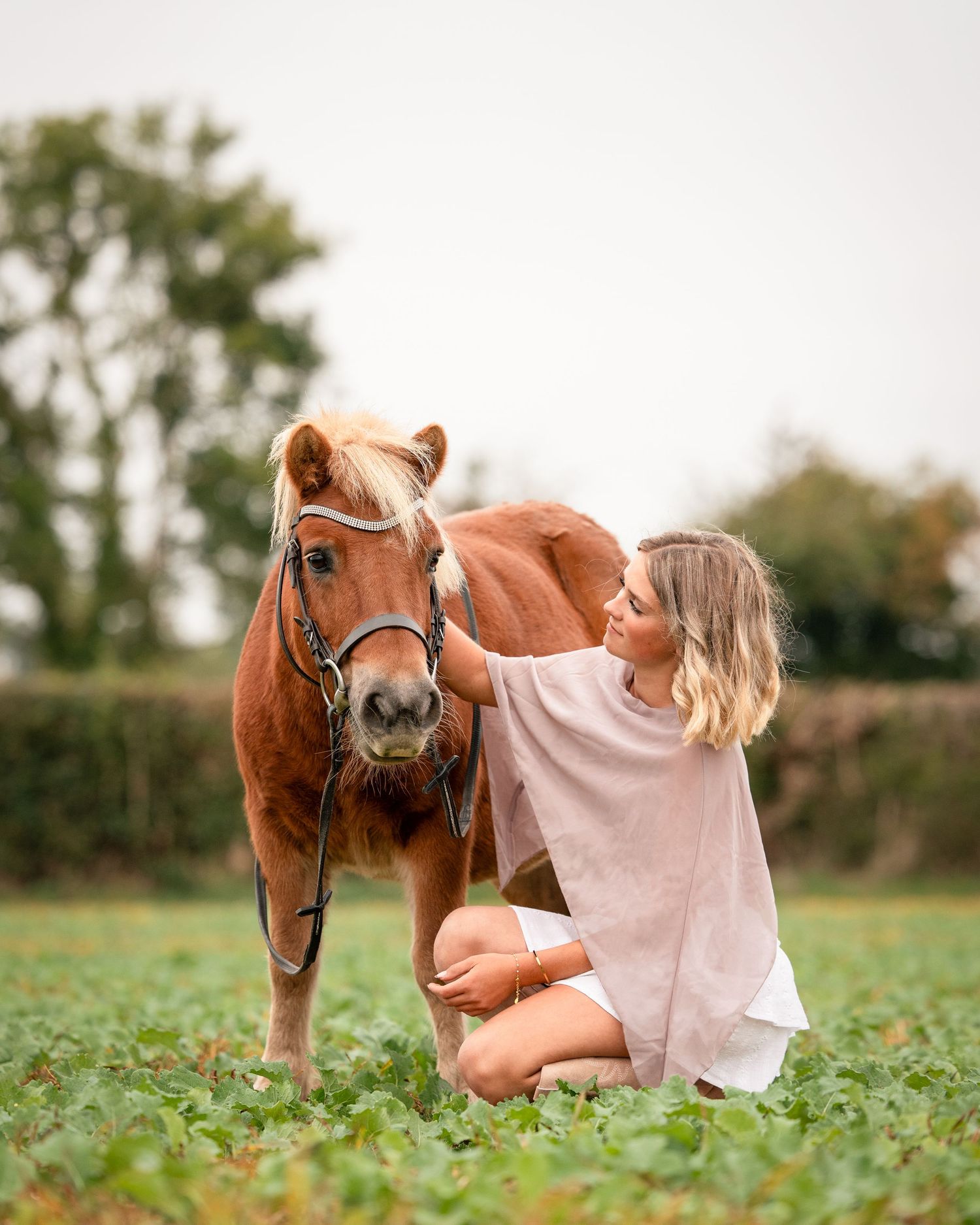 shooting photo cheval - cheval portrait - Photographe équestre Rouen