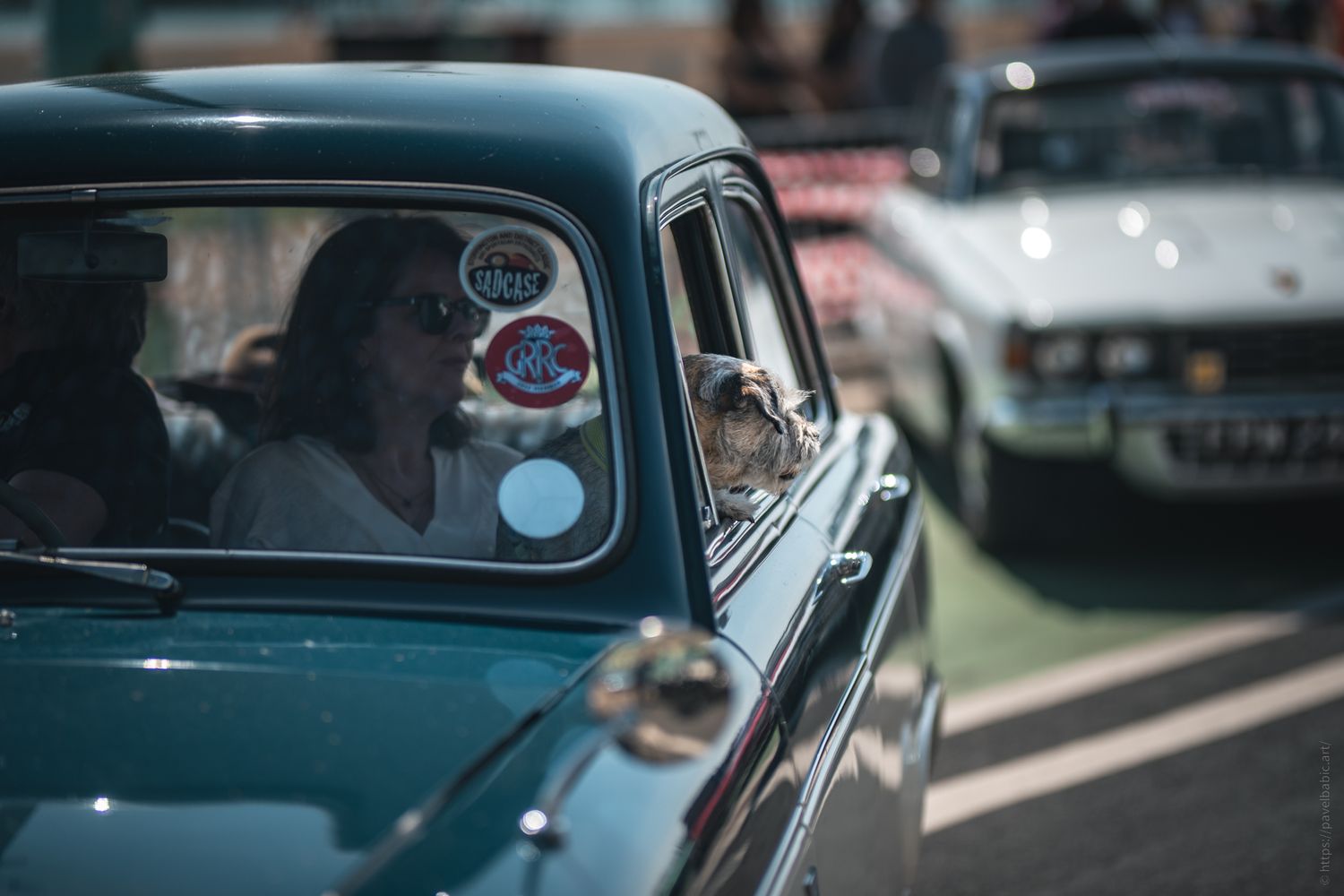 A dog sitting in the front seat of a classic car, looking out through the windshield with a person visible in the background.