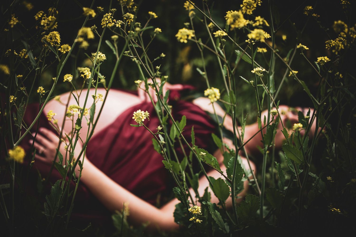 Person lying in a field of yellow wildflowers on a sunny day wearing a burgundy shirt.