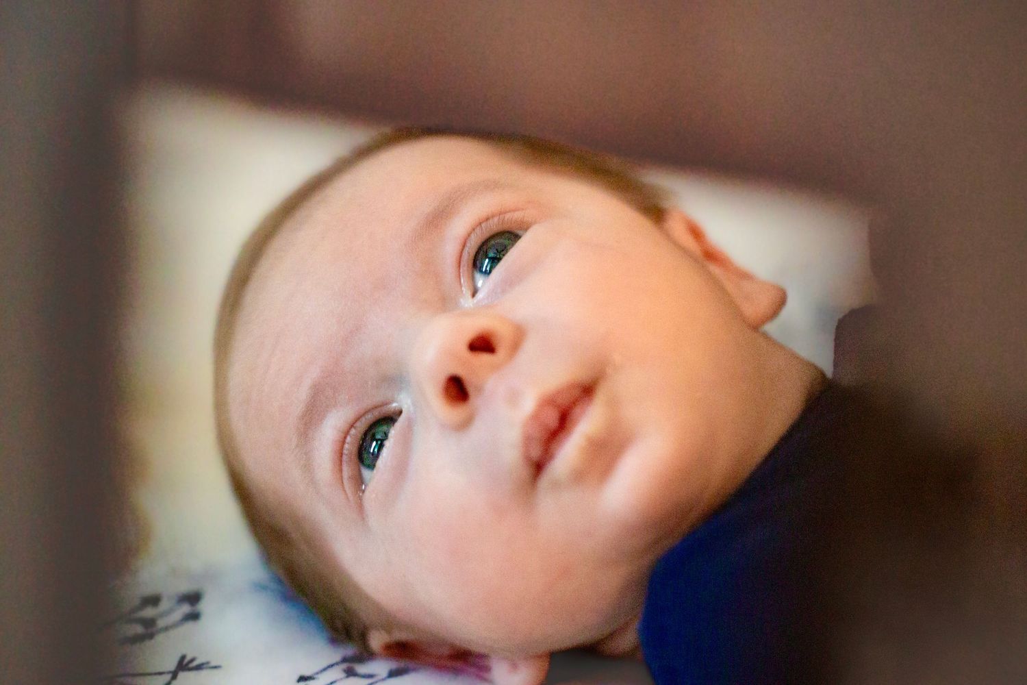 Close up portrait of an infant looking upward with curious expression.
