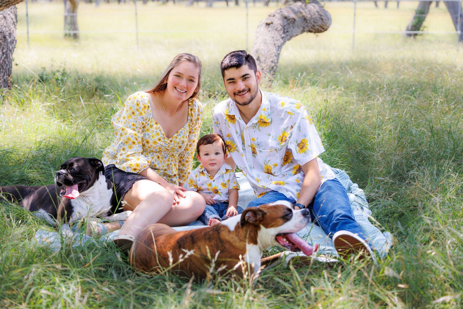 Family wearing coordinated yellow floral outfits sits on grass with their two dogs on a sunny afternoon.