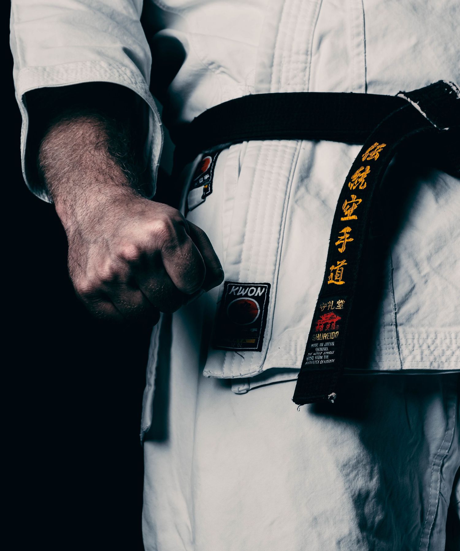 Karate, kovos menai, karate portretai, sporto fotografija