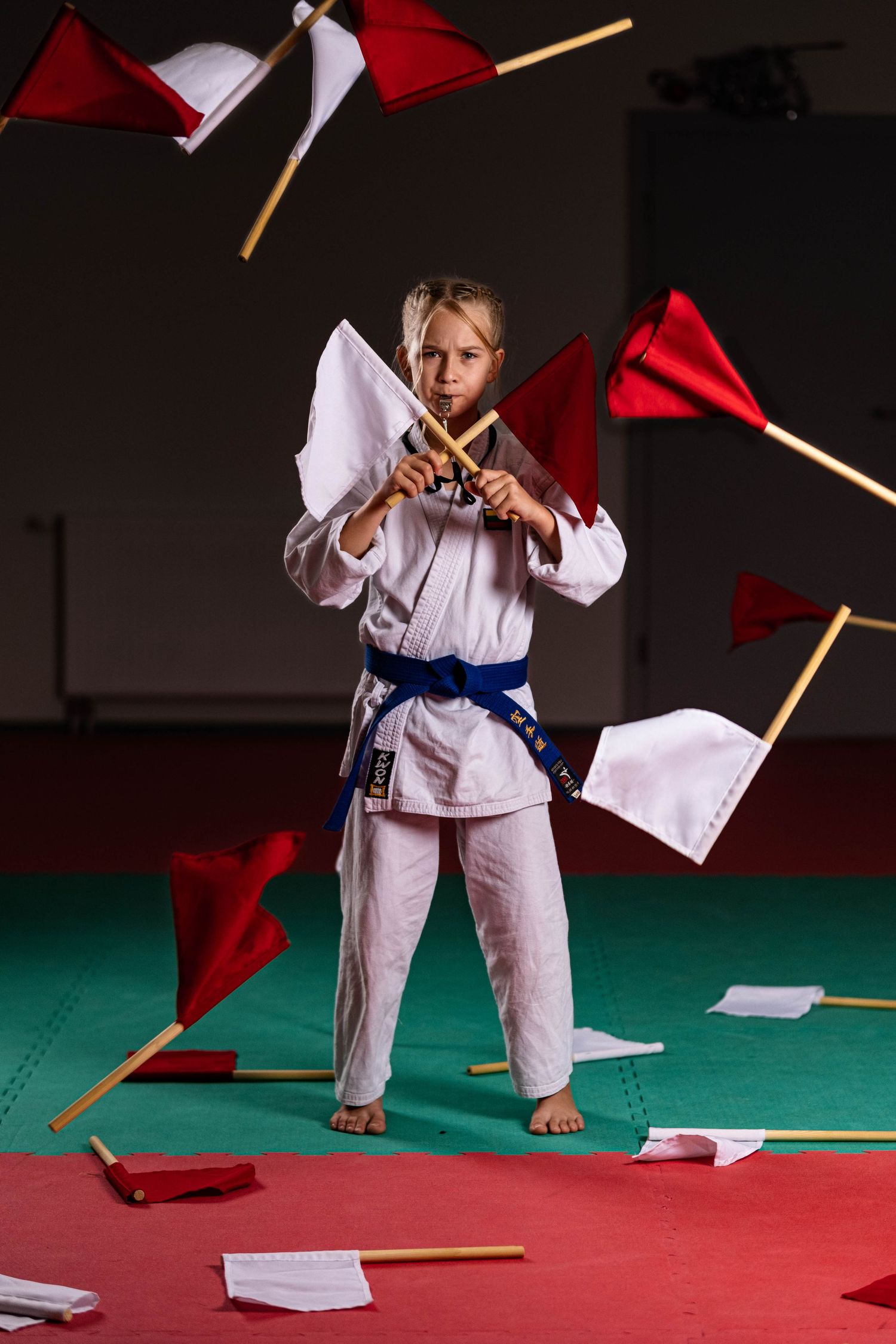Karate, kovos menai, karate portretai, sporto fotografija