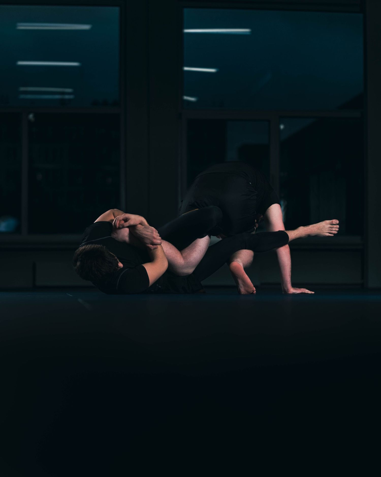Kovos menai , JIU-JITSU